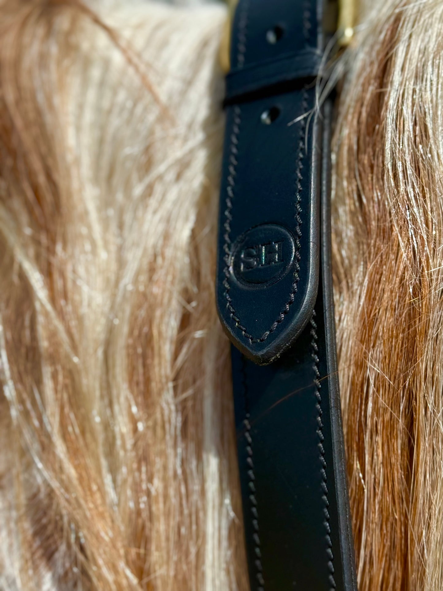 Bridleless Neck Rope