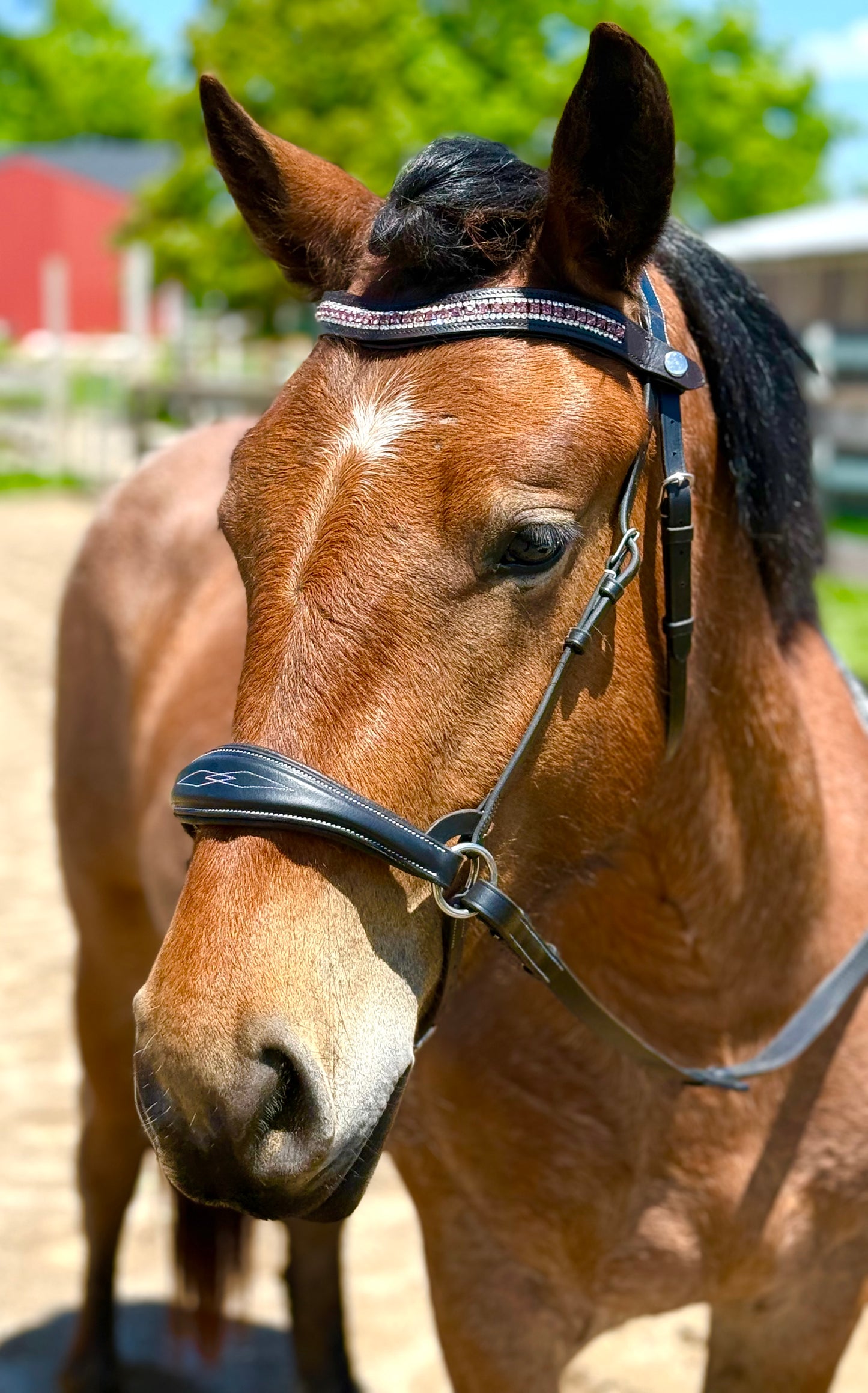 Purple Shimmer Snap-Out Browband