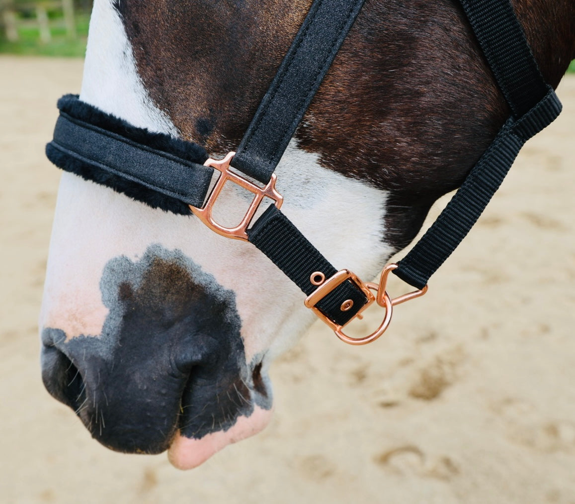 Fantasia's Sparkle-Hybrid Halter