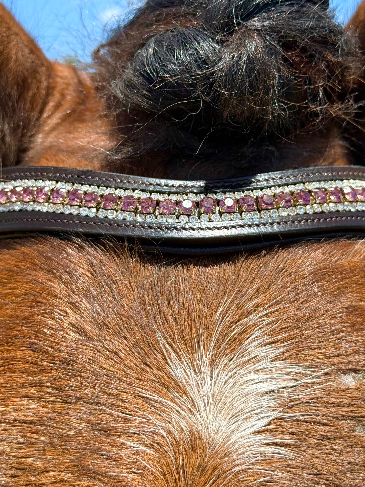 Purple Shimmer Snap-Out Browband