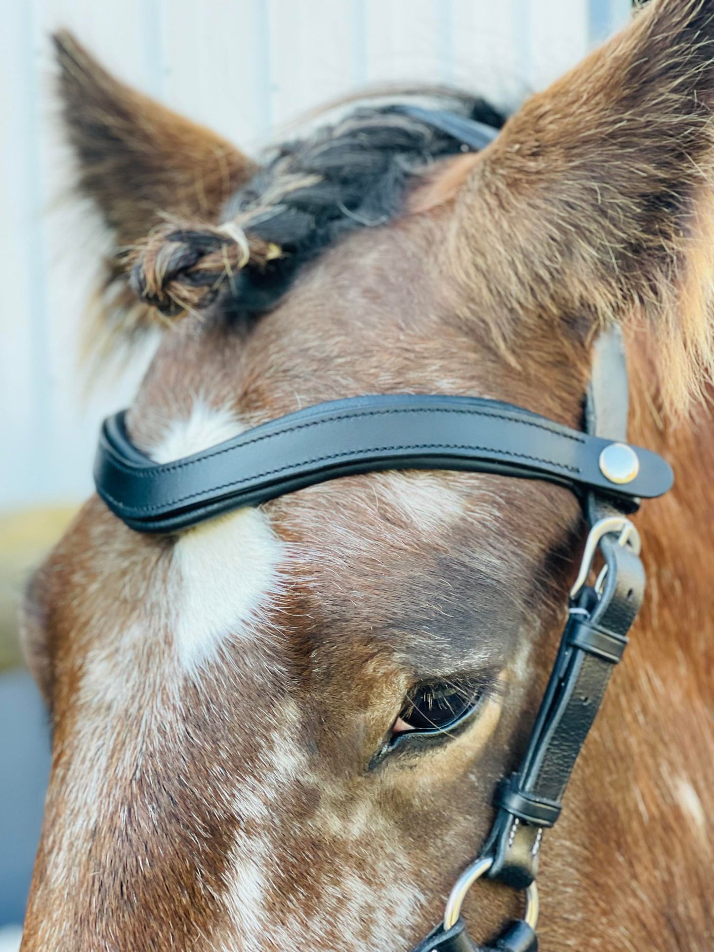 Classic Leather Snap-Out Browband