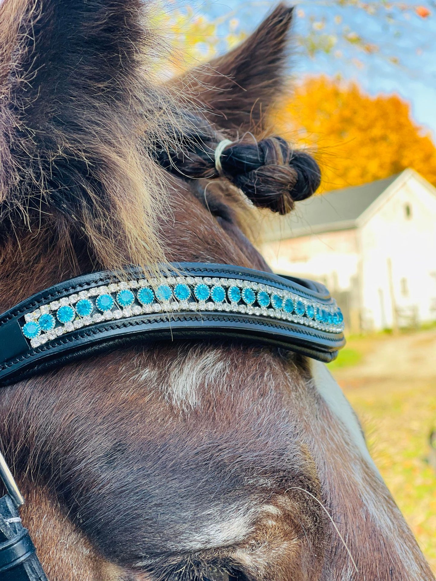 Blue Belle Snap-Out Browband