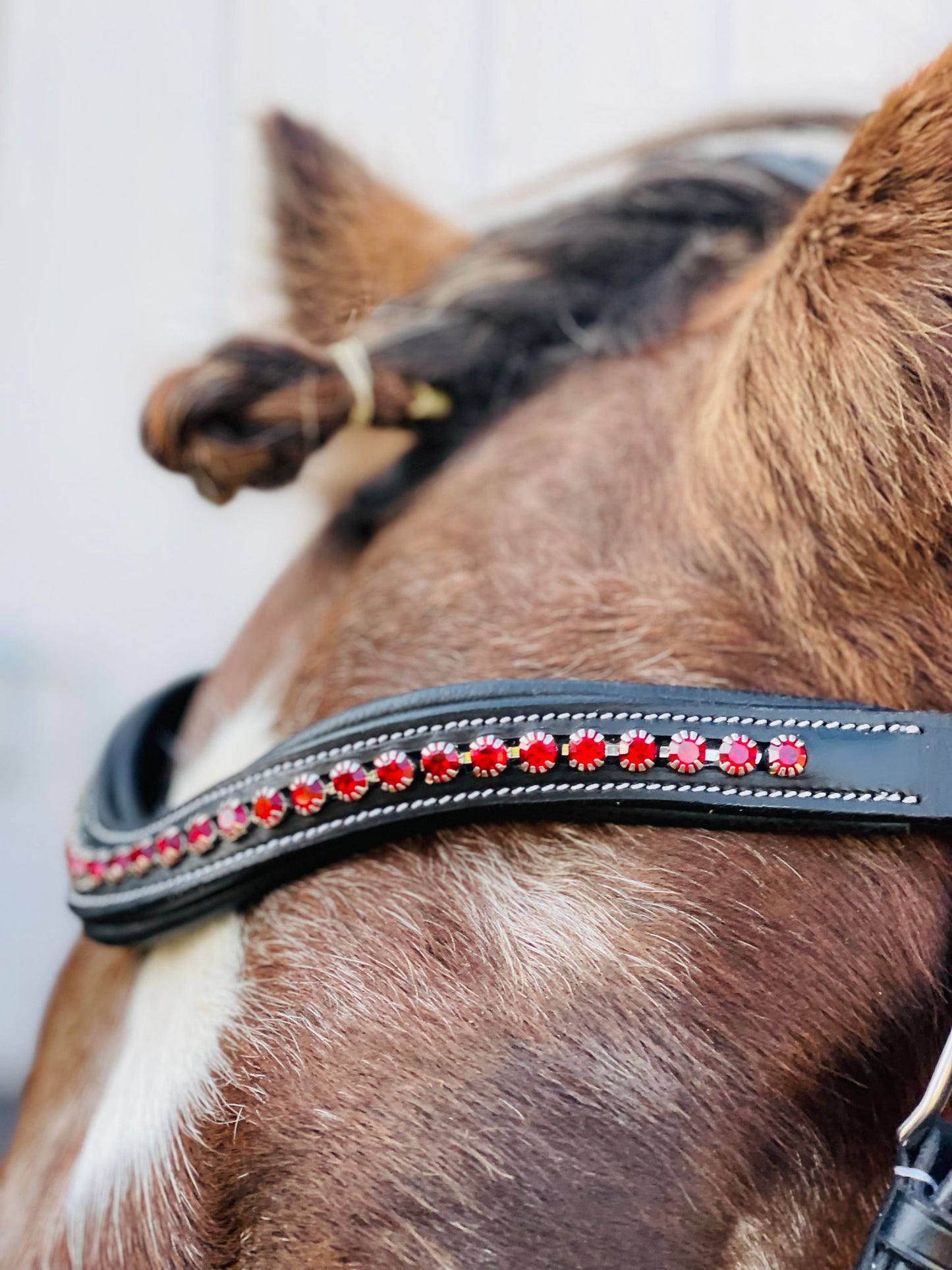 Red Ruby Snap-Out Browband