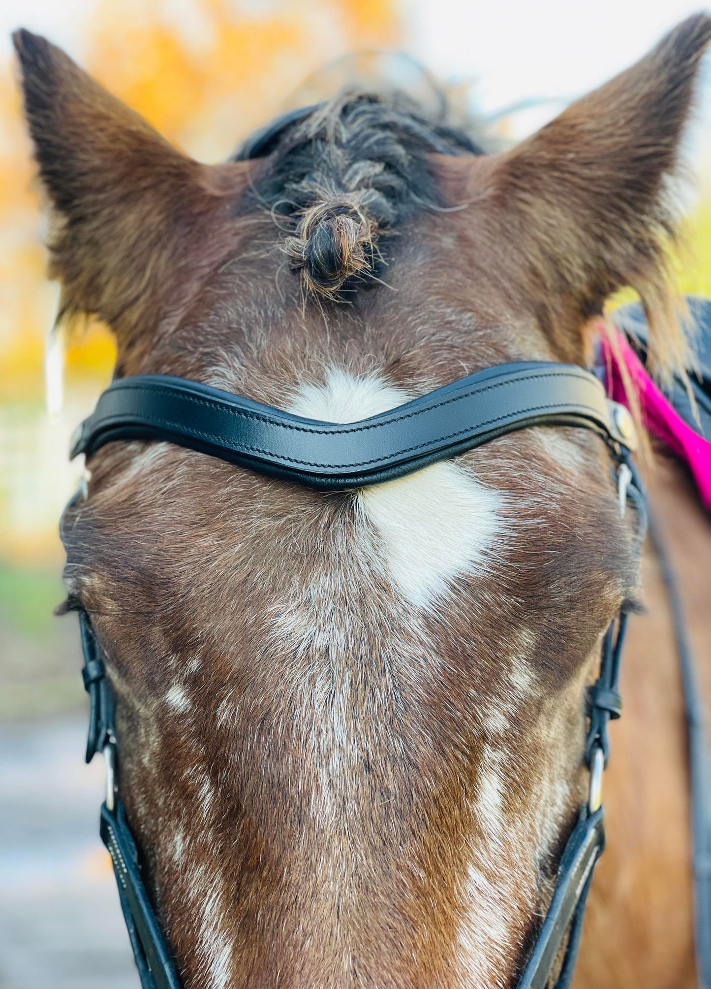 Classic Leather Snap-Out Browband