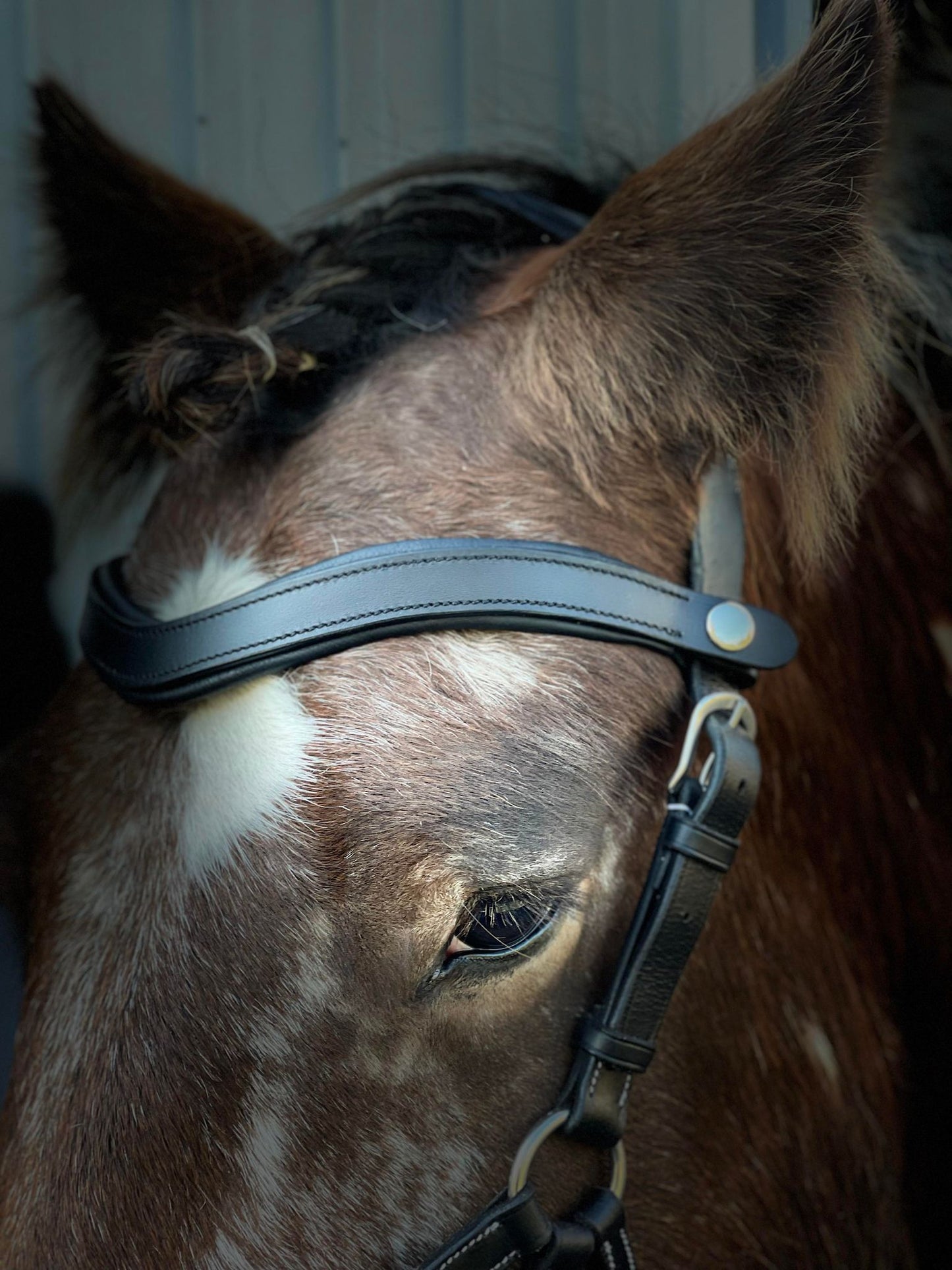 Classic Leather Snap-Out Browband