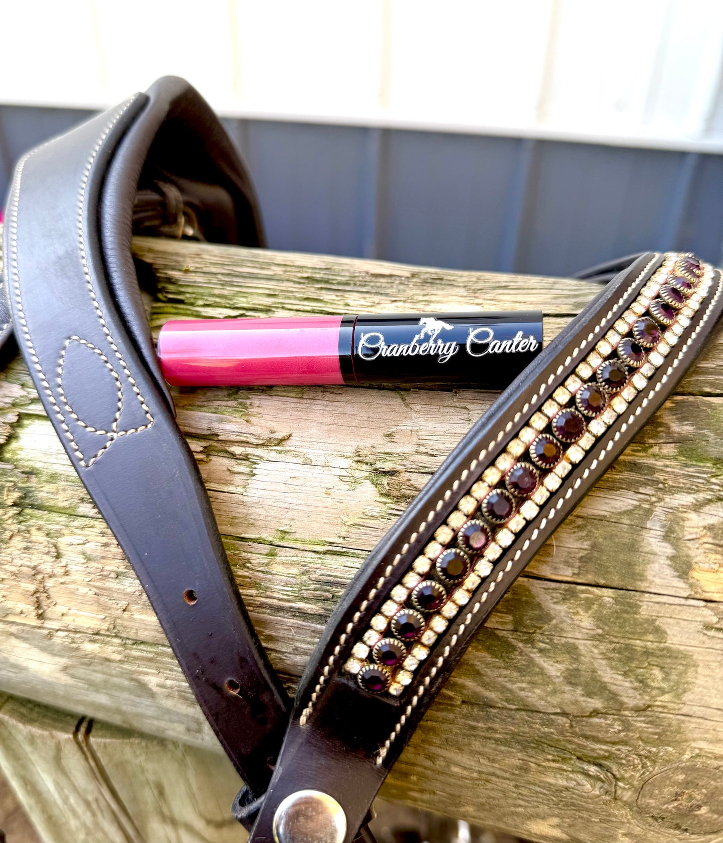 Cranberry Canter-Lip Gloss
