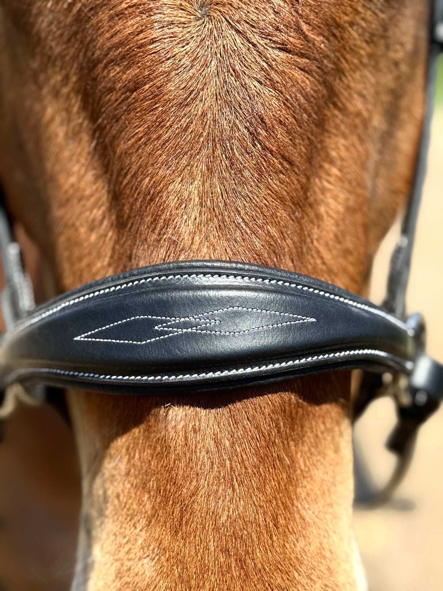 Hunter Classic Bitless Bridle
