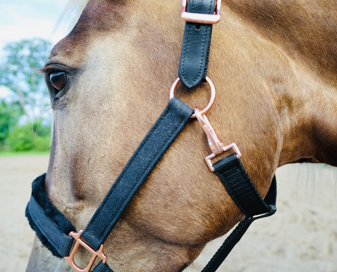 Fantasia's Sparkle-Hybrid Halter