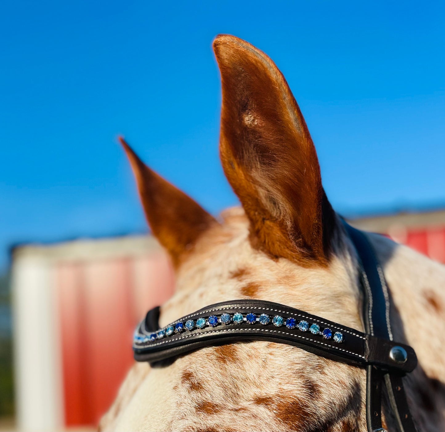Icicle Snap-Out Browband