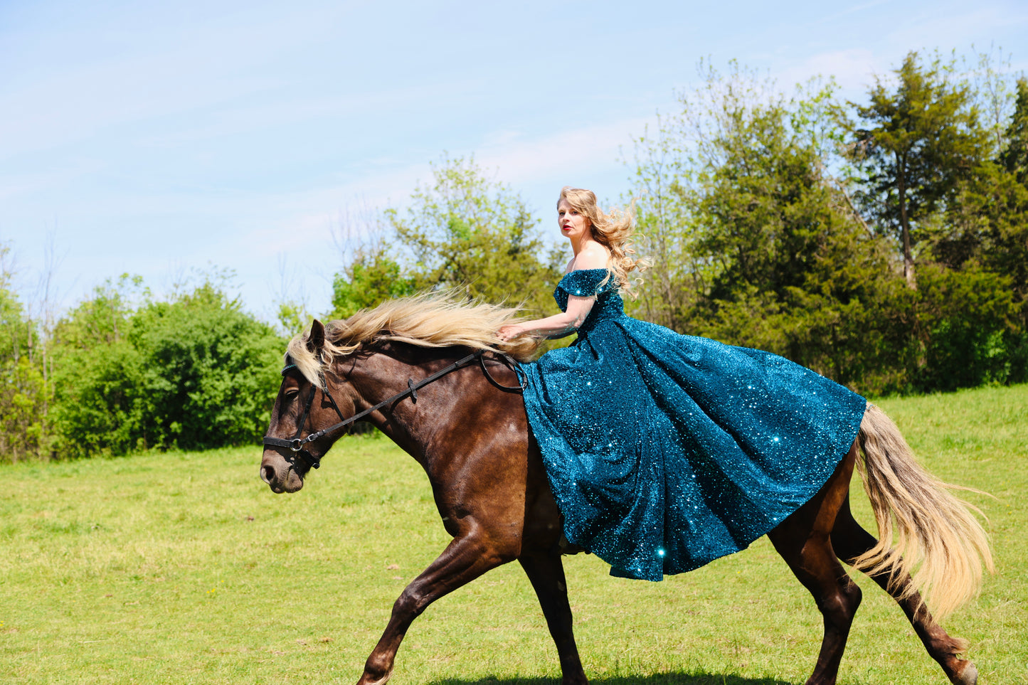 Wanderlust Bitless Bridle