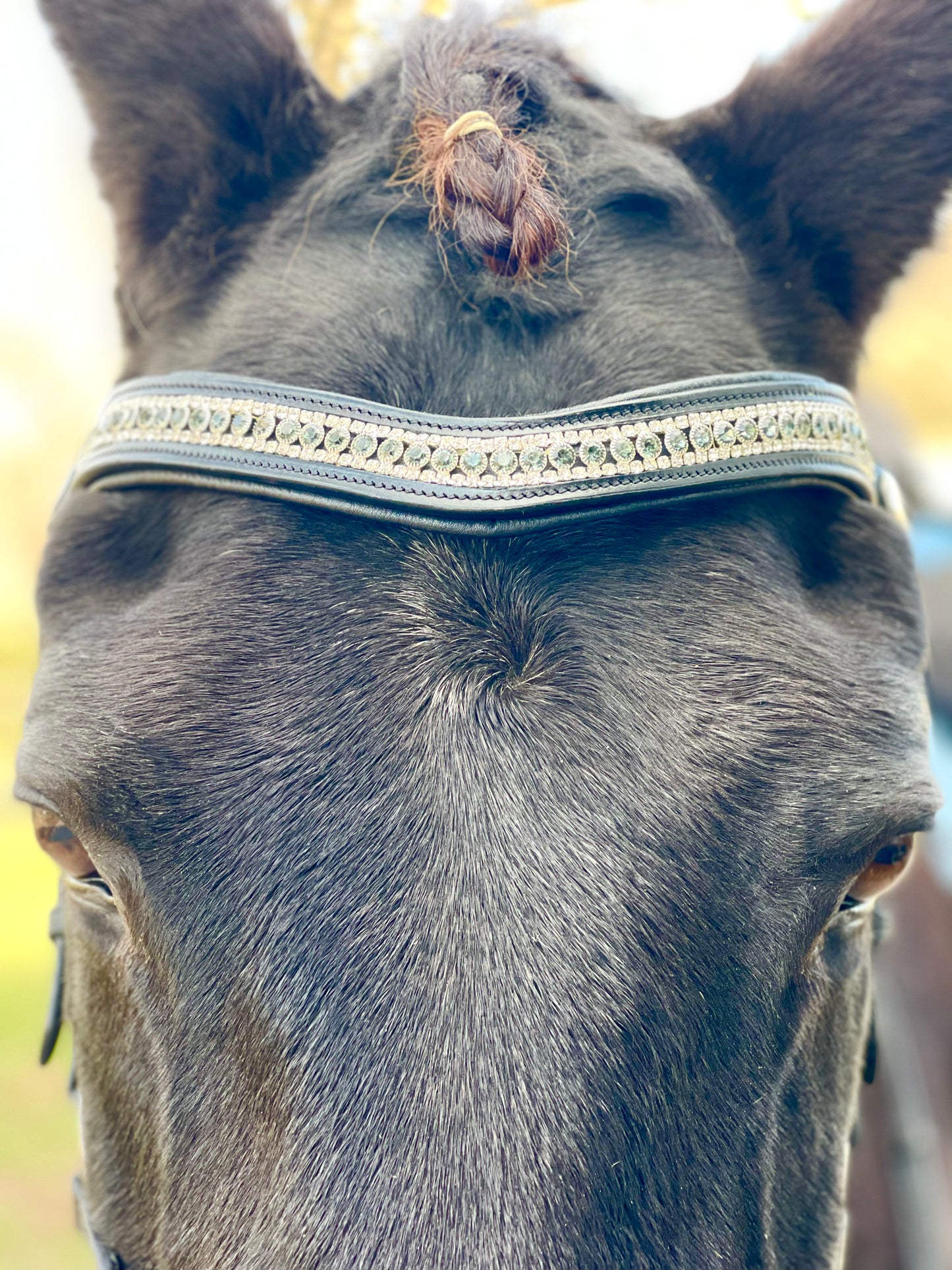 Esmeralda Green Snap-Out Browband
