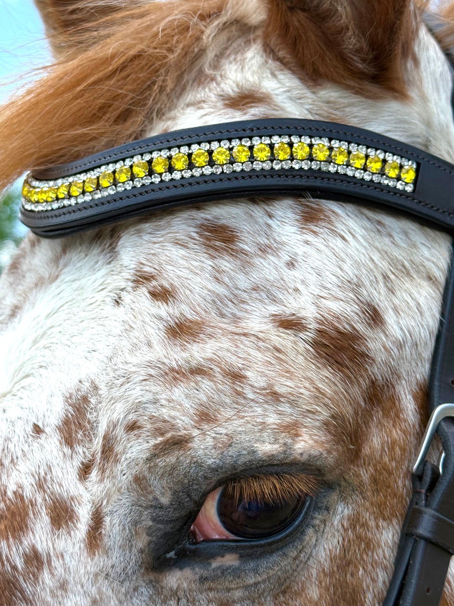 Lemon Lime Snap-Out Browband