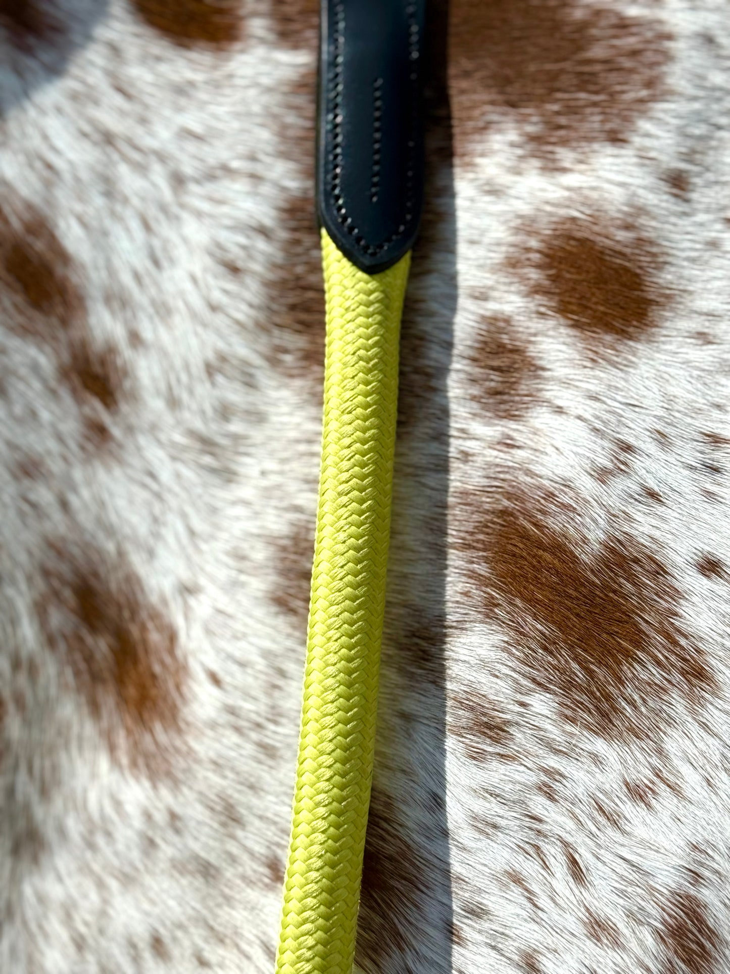 Bridleless Neck Rope