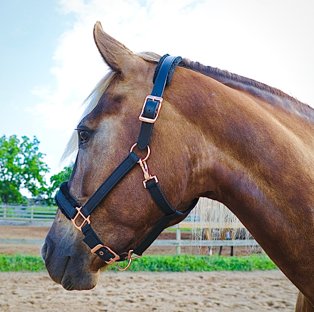Fantasia's Sparkle-Hybrid Halter