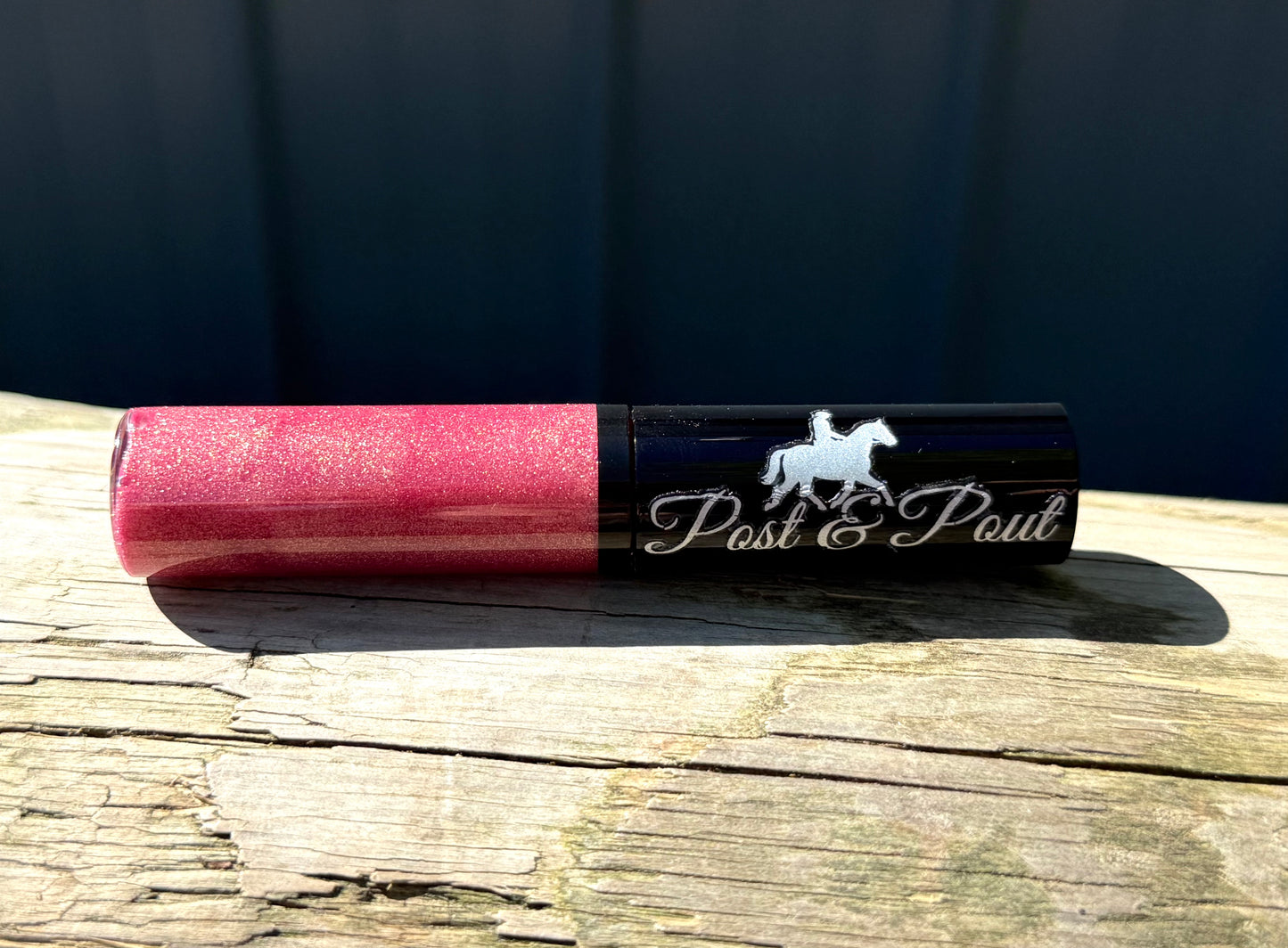 Post & Pout Lip Gloss