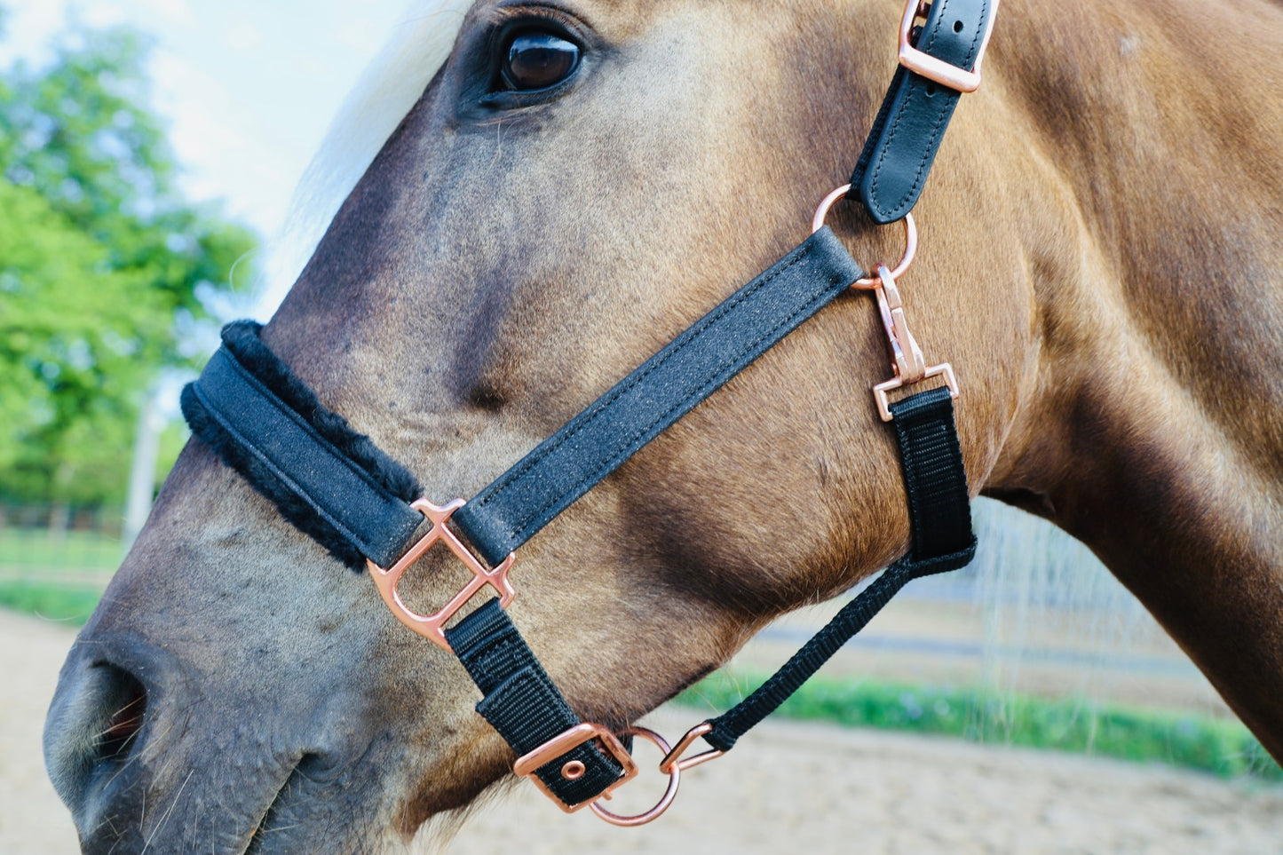 Fantasia's Sparkle-Hybrid Halter