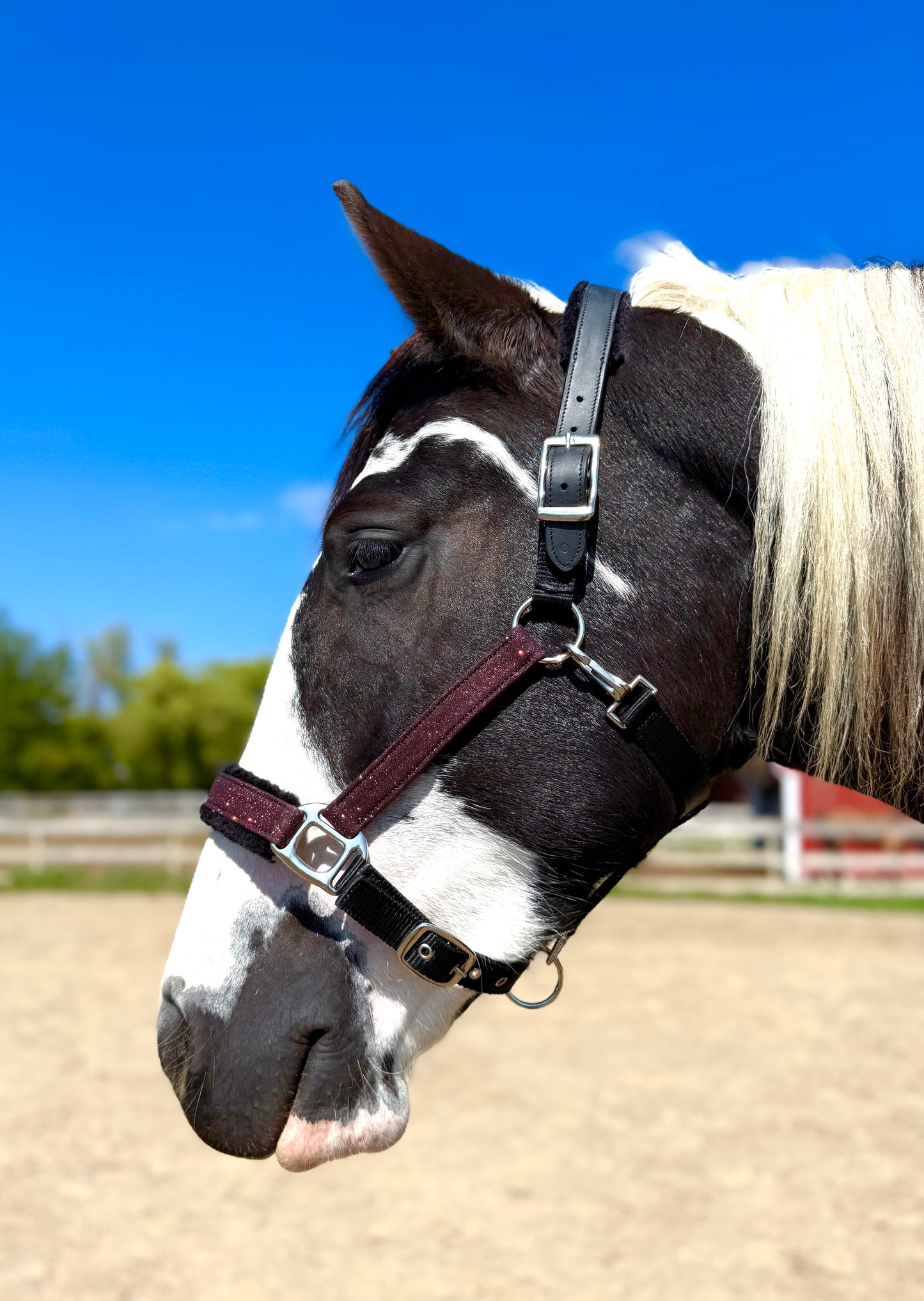 NEW COLORS- Fantasia's Sparkle Halter