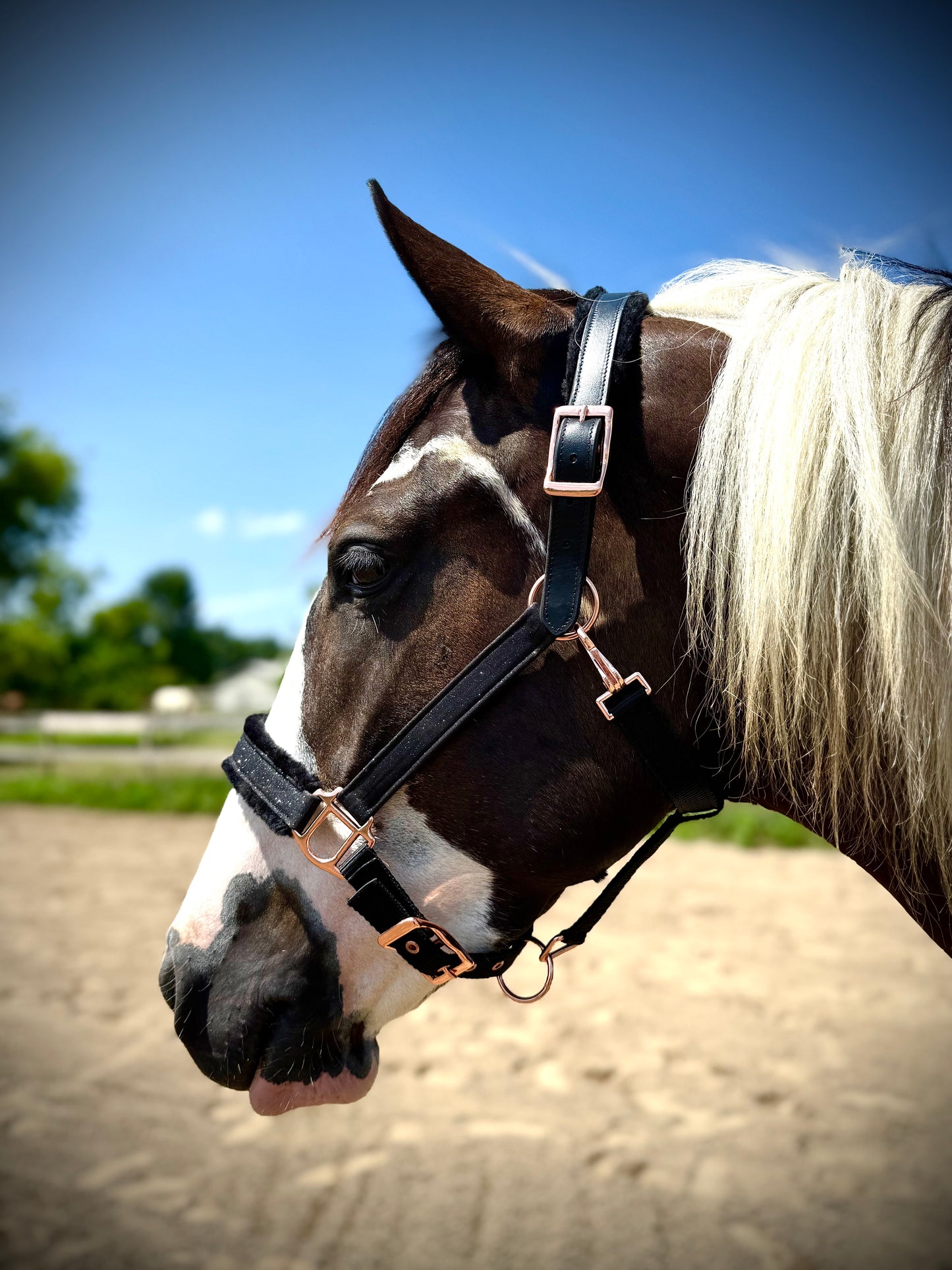 Fantasia's Sparkle-Hybrid Halter