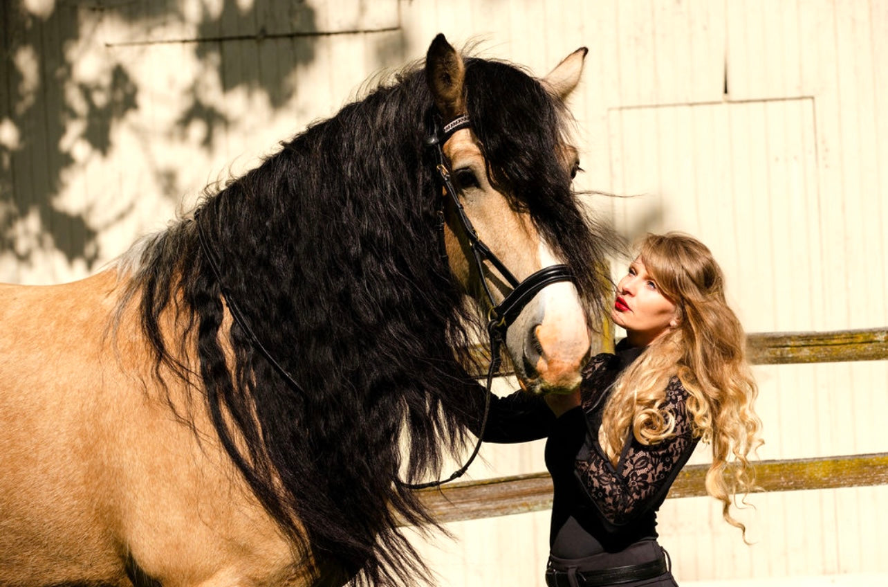 Black Daisy Lace-Luxury Riding Top