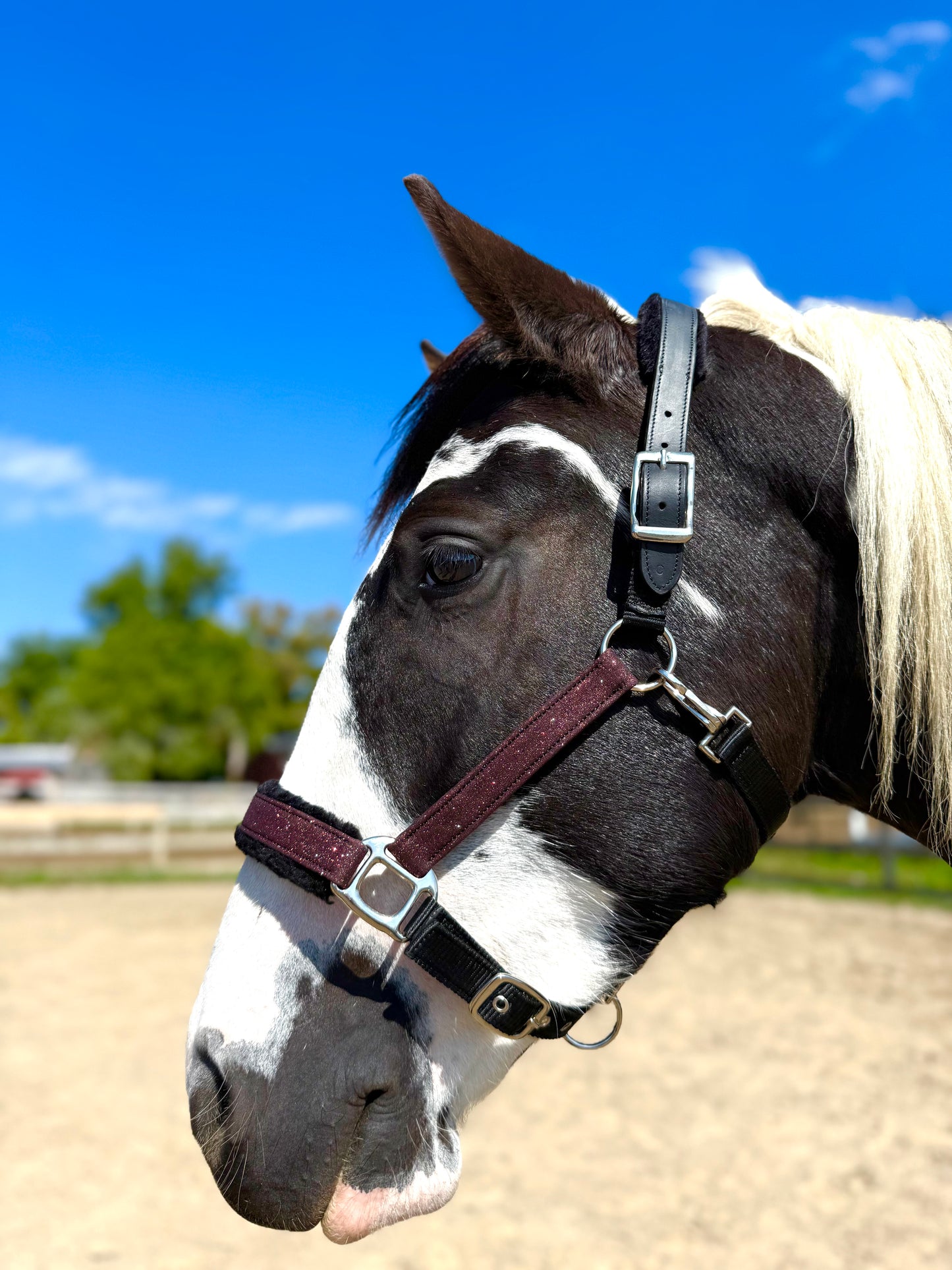 NEW COLORS- Fantasia's Sparkle Halter