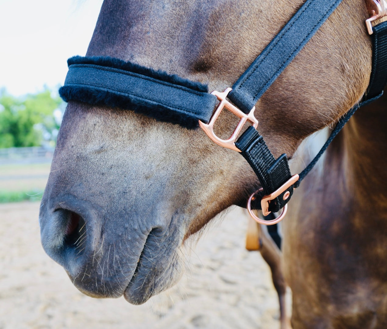 Fantasia's Sparkle-Hybrid Halter
