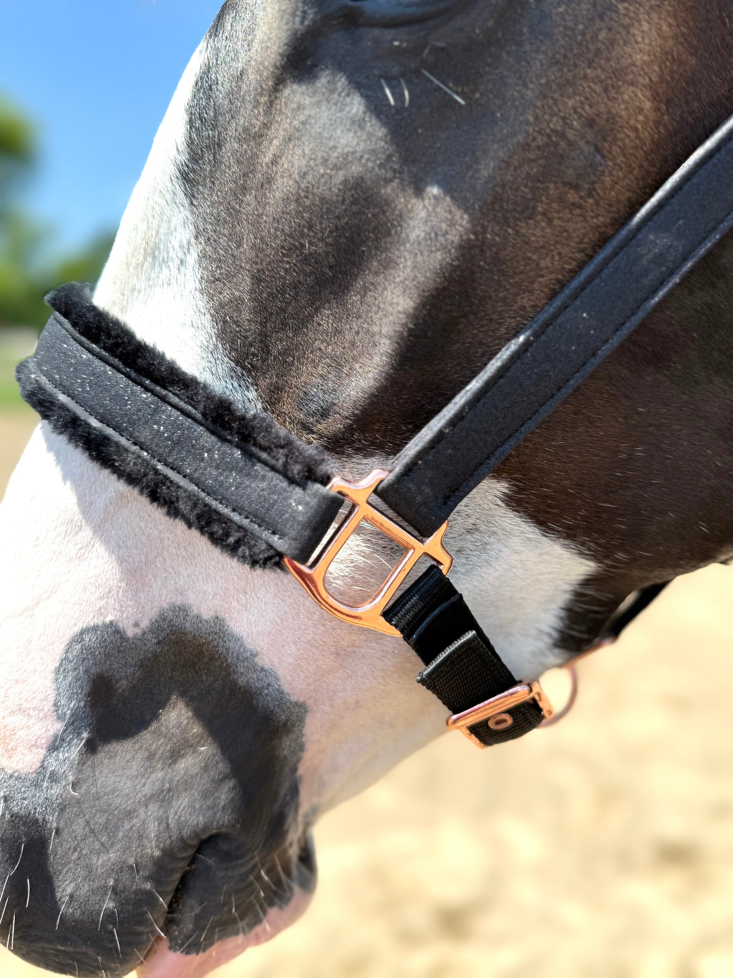 Fantasia's Sparkle-Hybrid Halter
