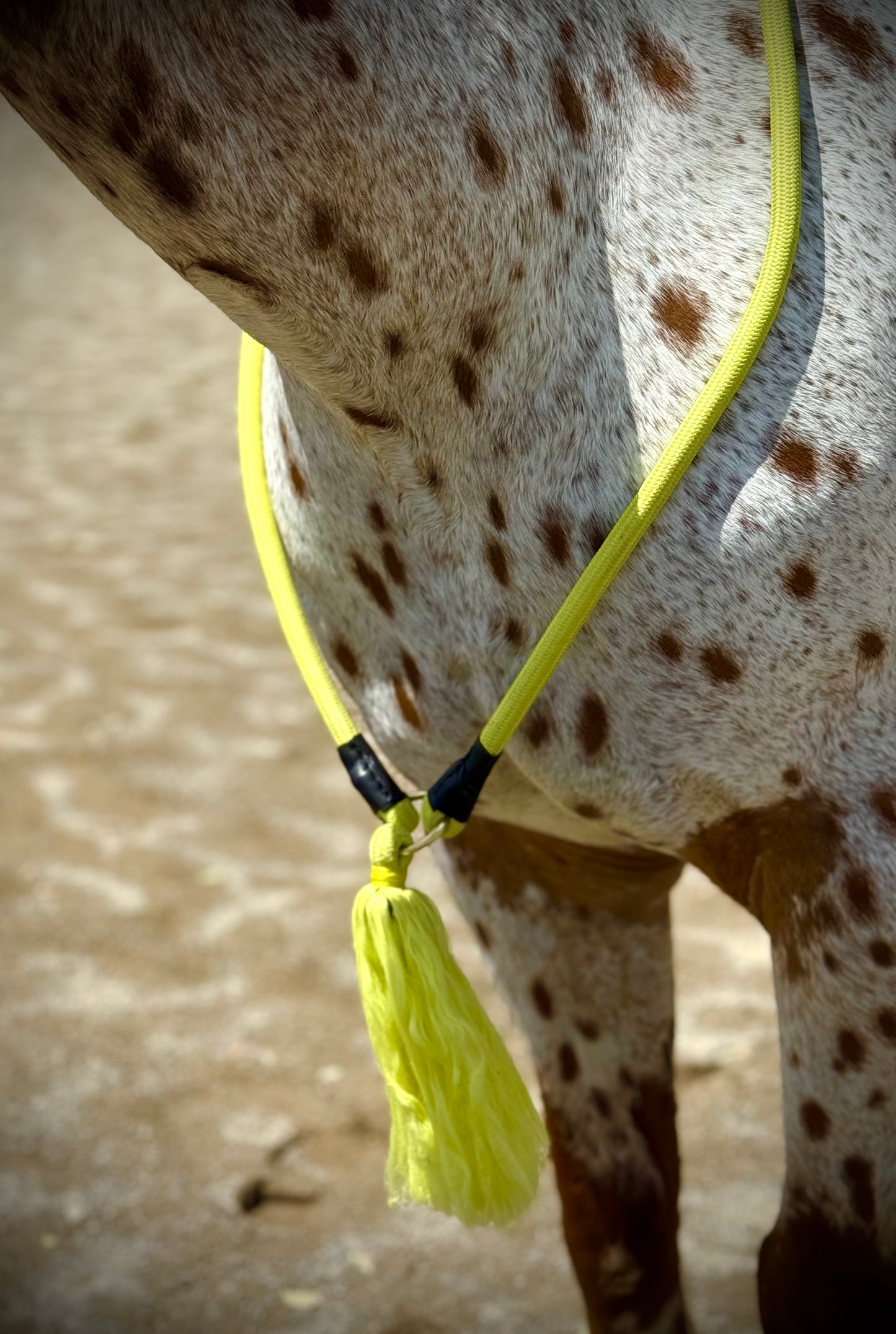 Bridleless Neck Rope