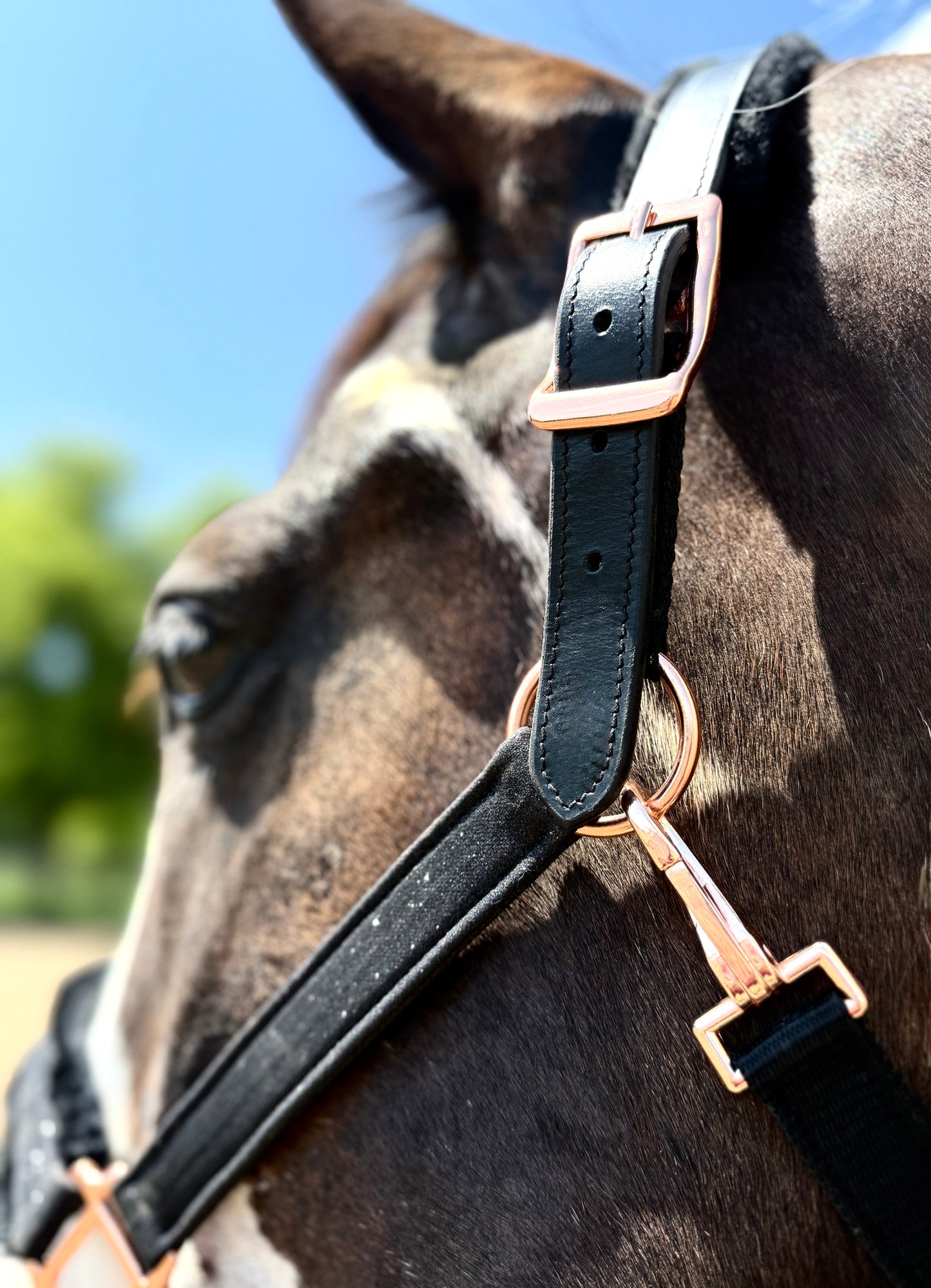 Fantasia's Sparkle-Hybrid Halter