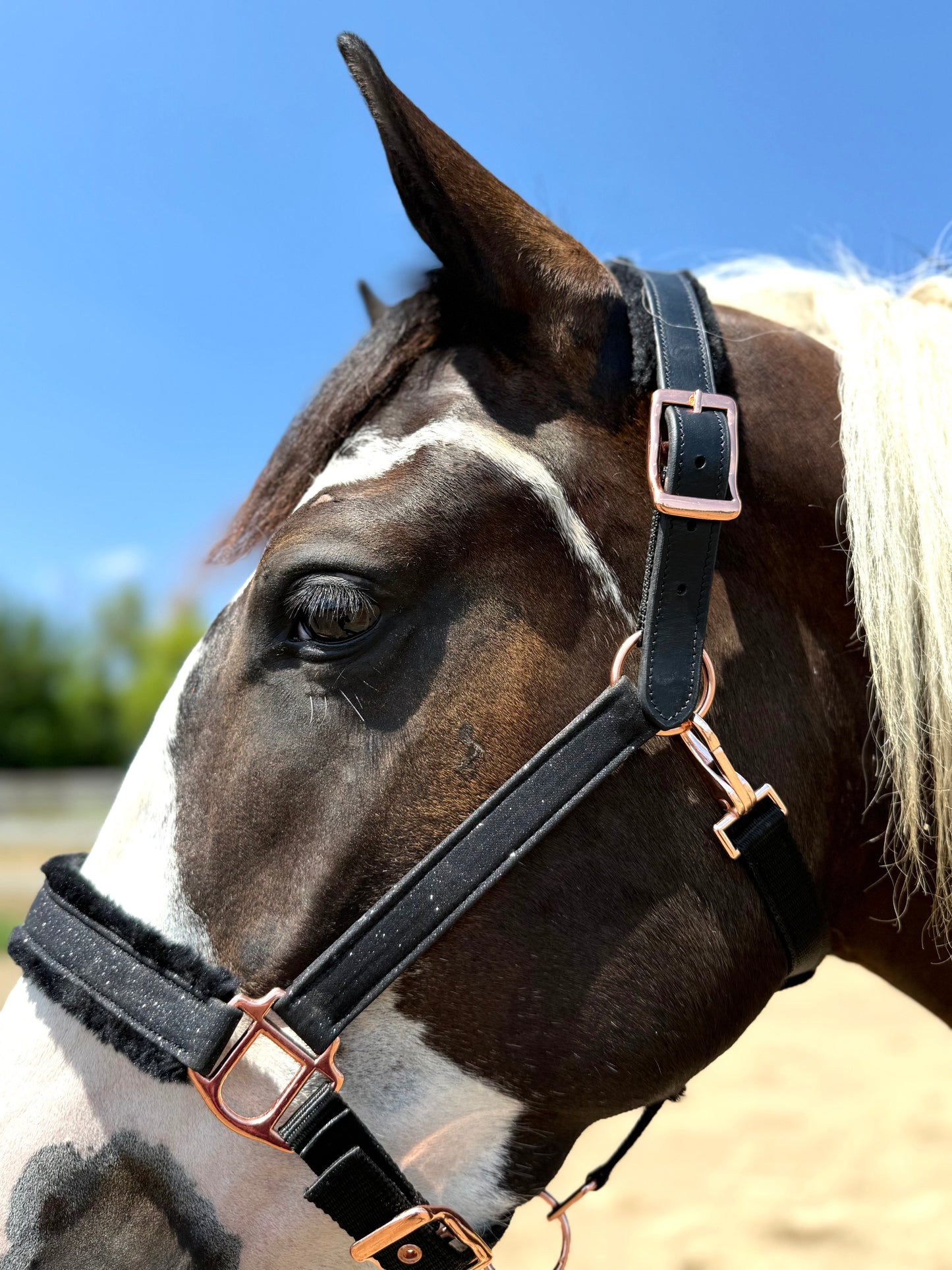 Fantasia's Sparkle-Hybrid Halter