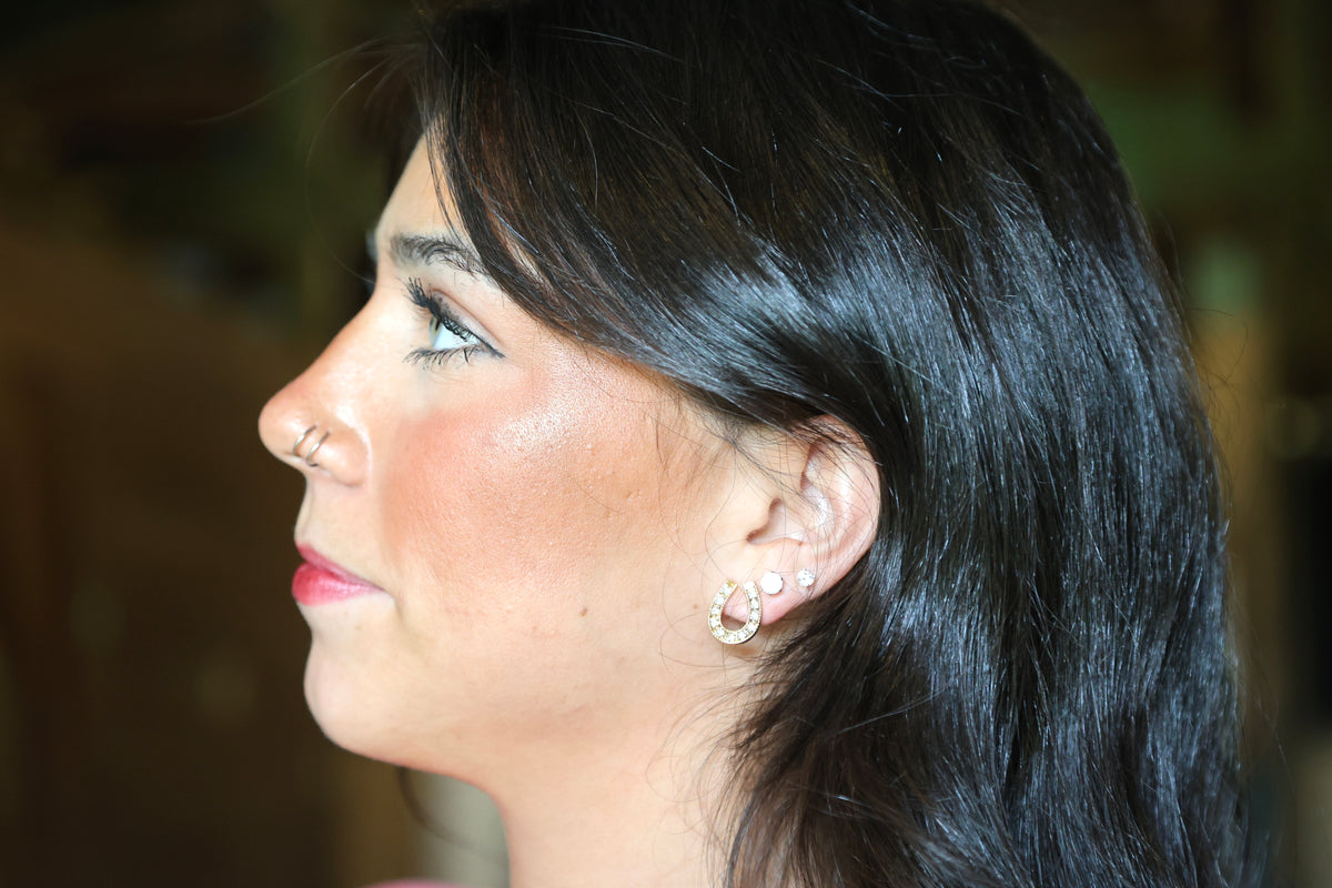 Horseshoe Sparkle Earrings