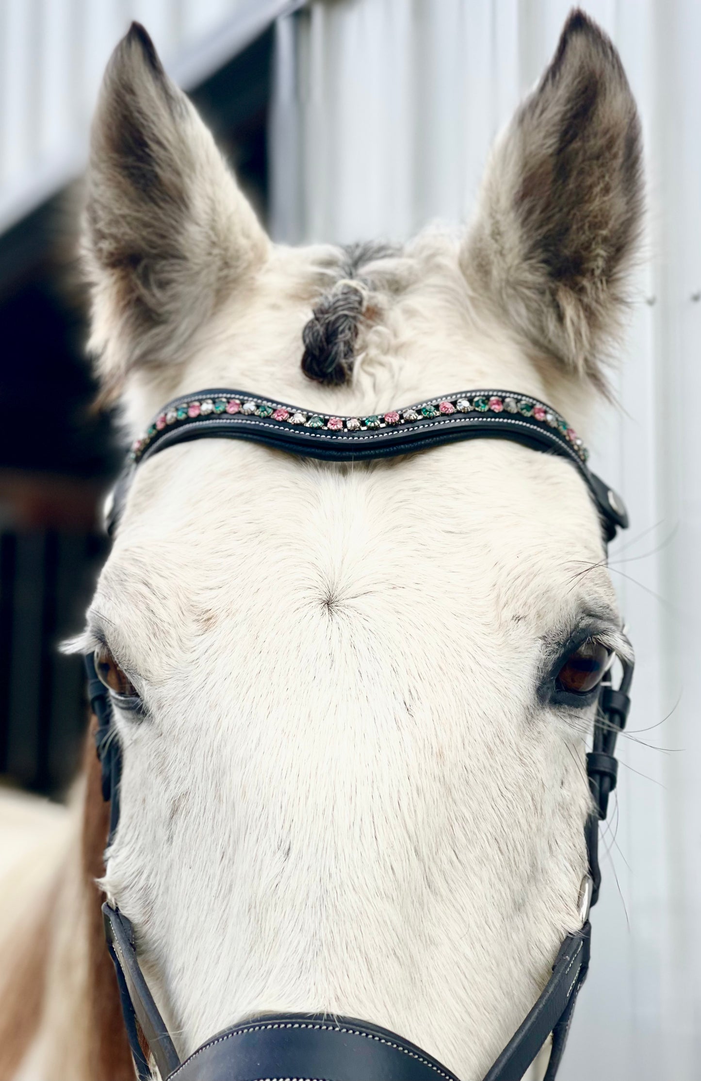 Mermaid Snap-Out Browband