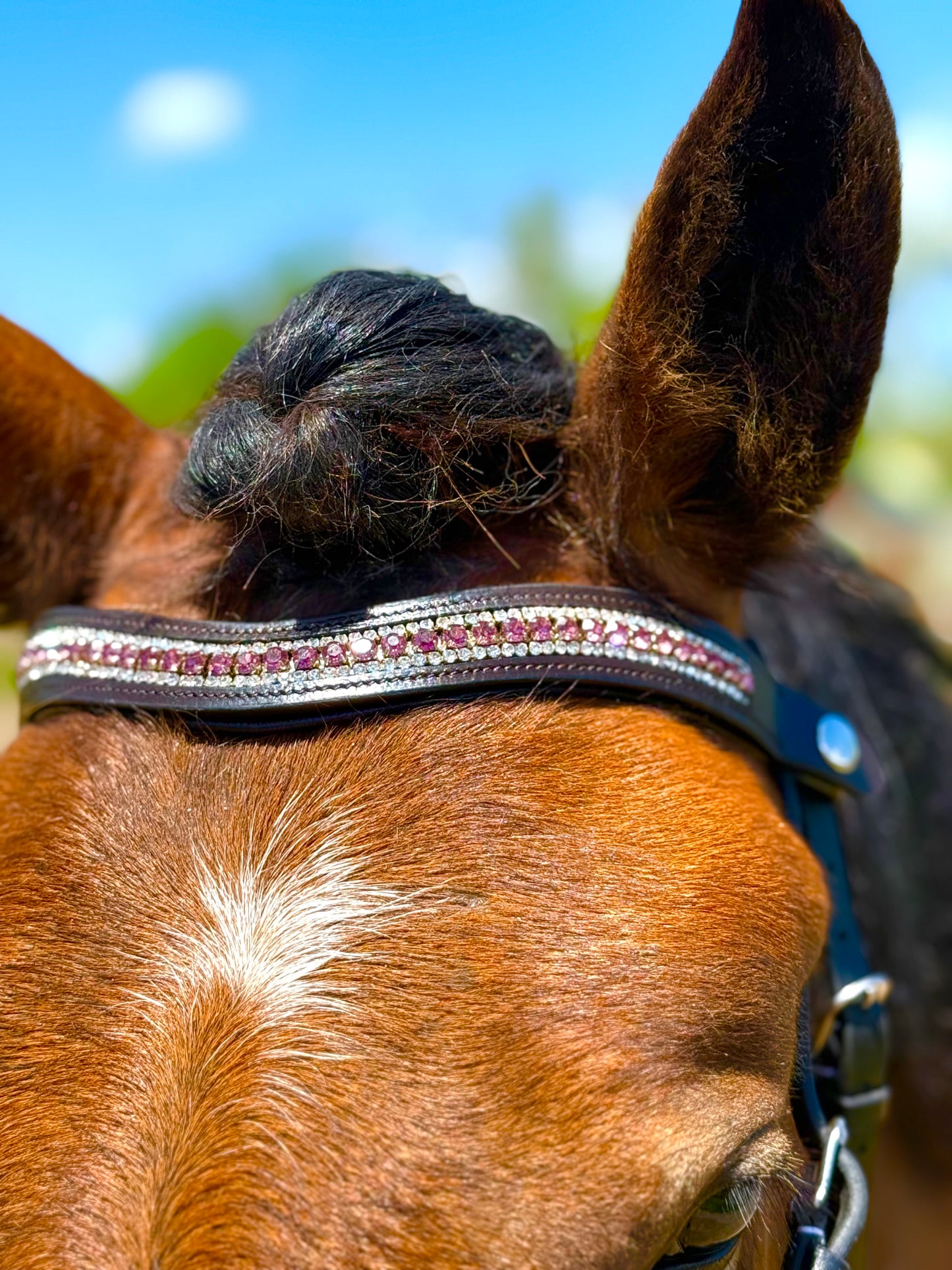 Purple Shimmer Snap-Out Browband