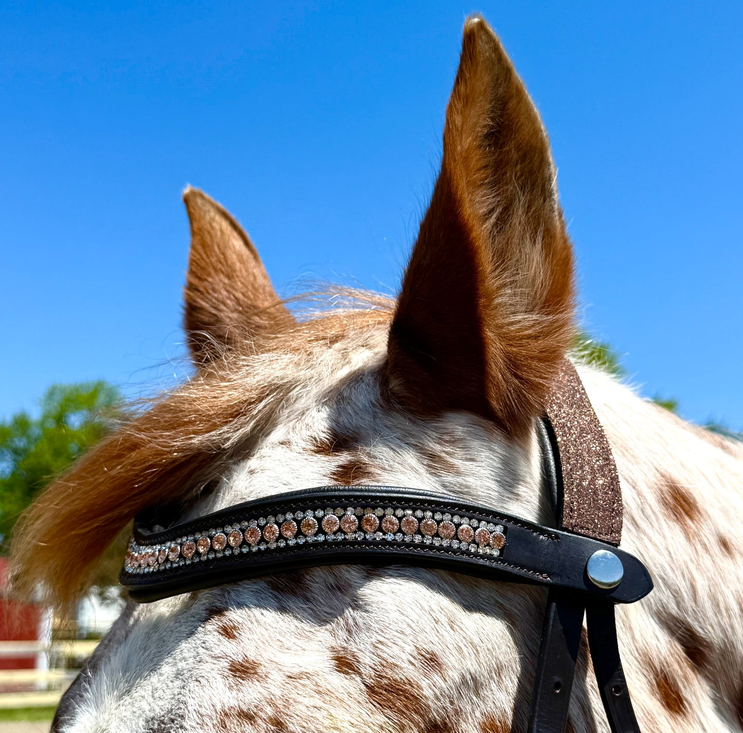 Peach Shimmer Snap-Out Browband