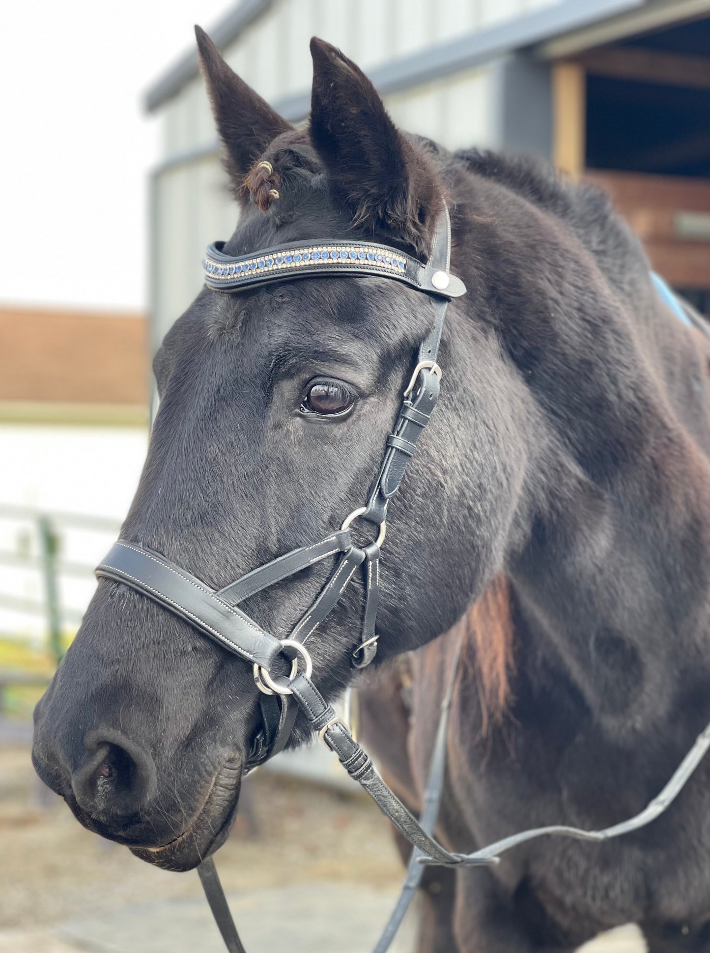 Winter Wonderland Snap-Out Browband