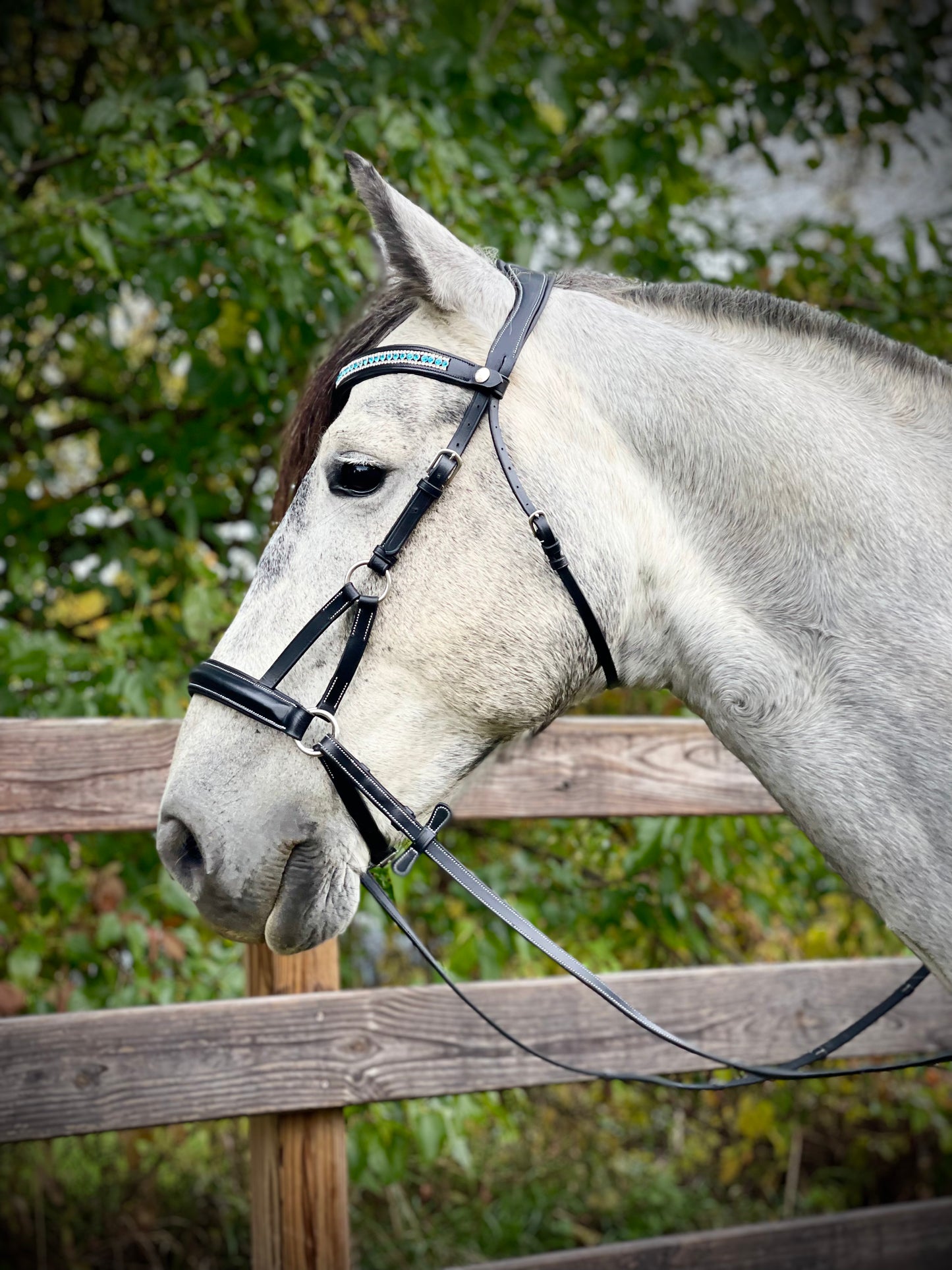 Silver Traditional Bitless Bridle