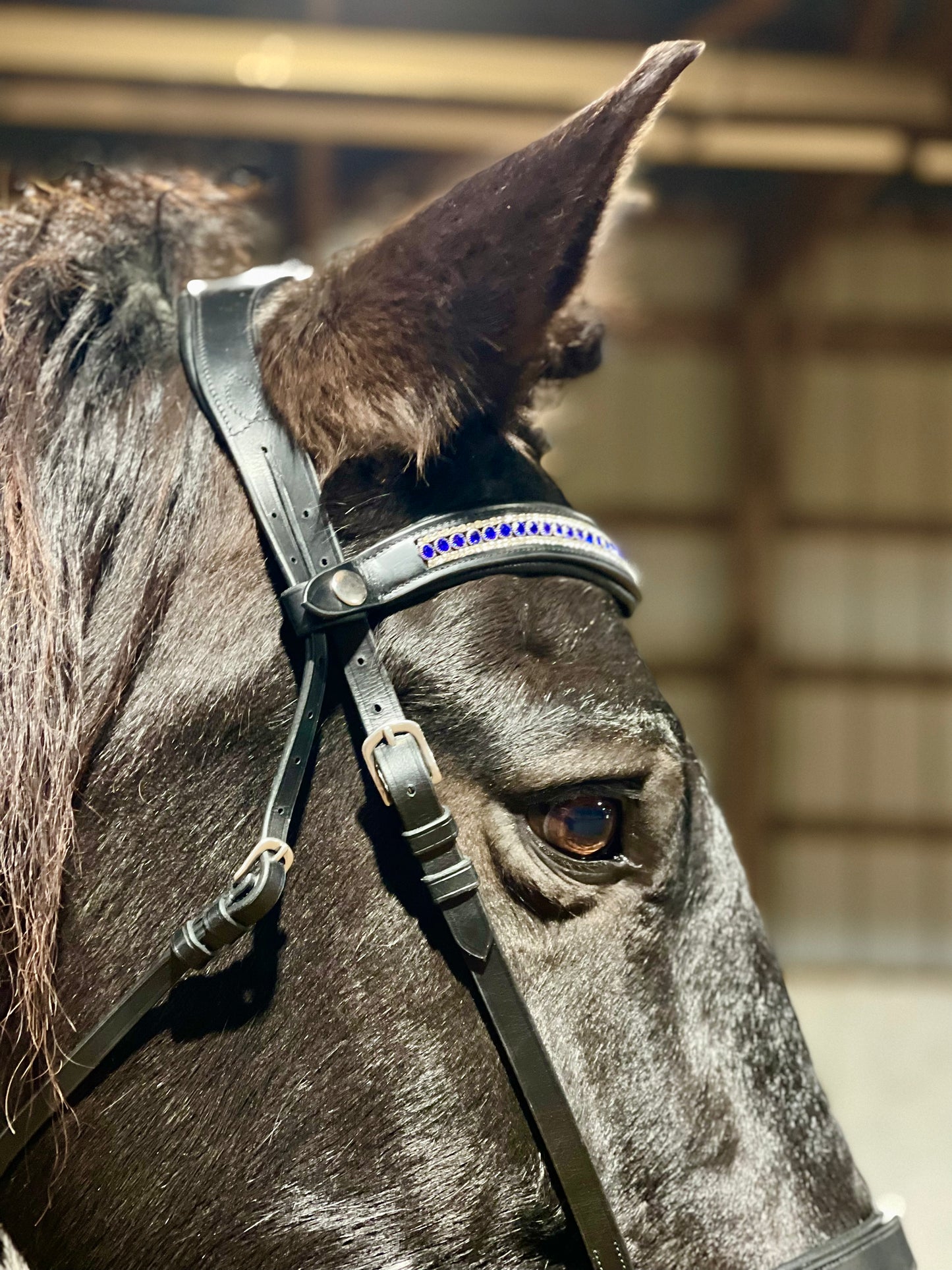 Royal Blue Snap-Out Browband