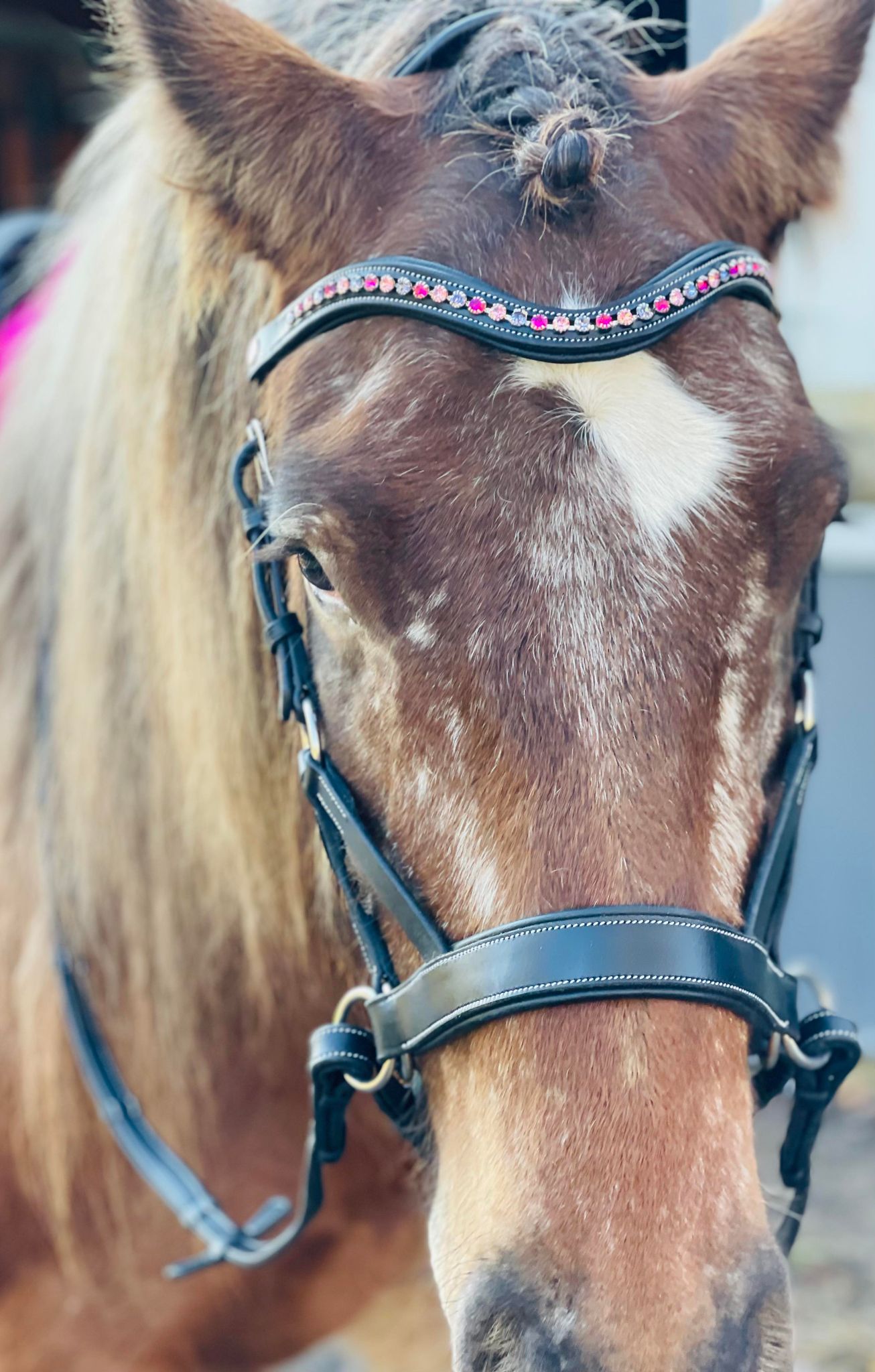 Fabulous Fuchsia Snap-Out Browband