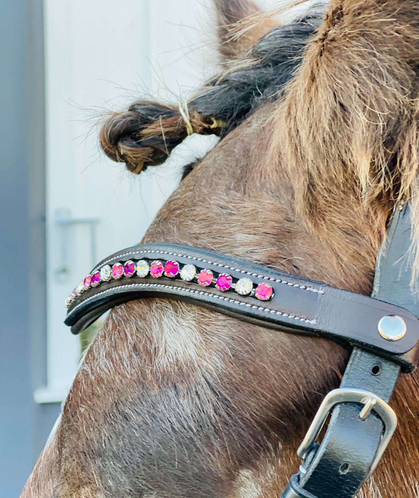 Rosy Pink Snap-Out Browband