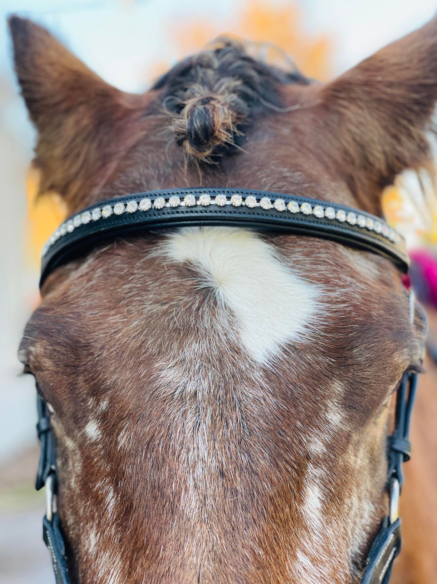 Whimsical White Snap-Out Browband