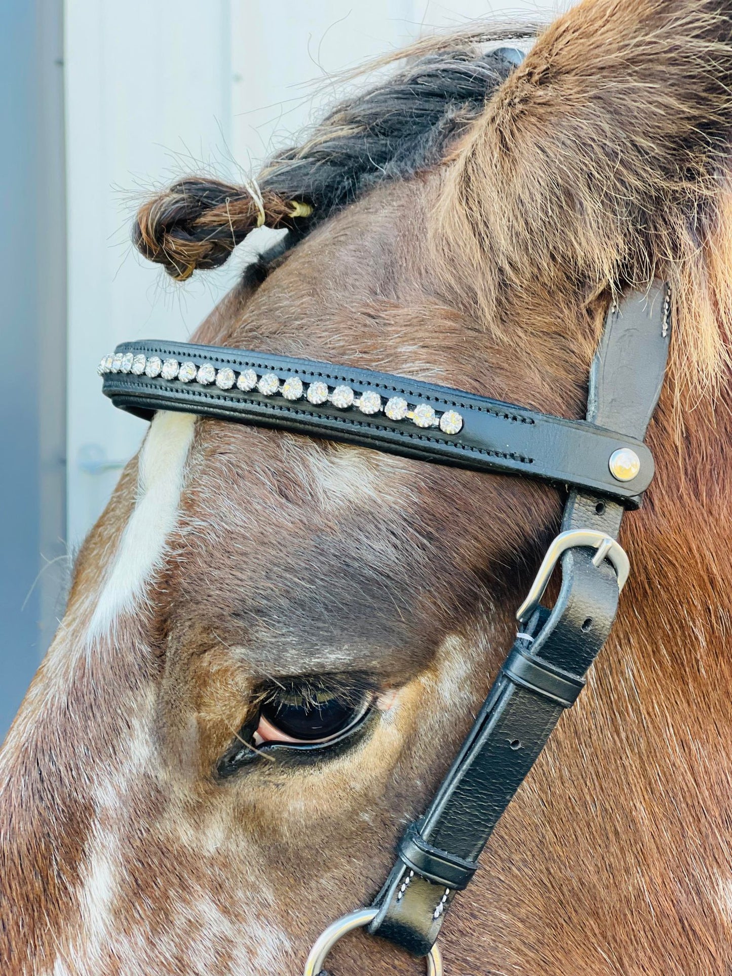 Whimsical White Snap-Out Browband