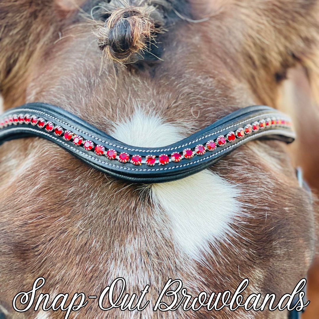 Snap-Out Browband Collection