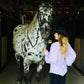 Purple Pony Posh Blouse