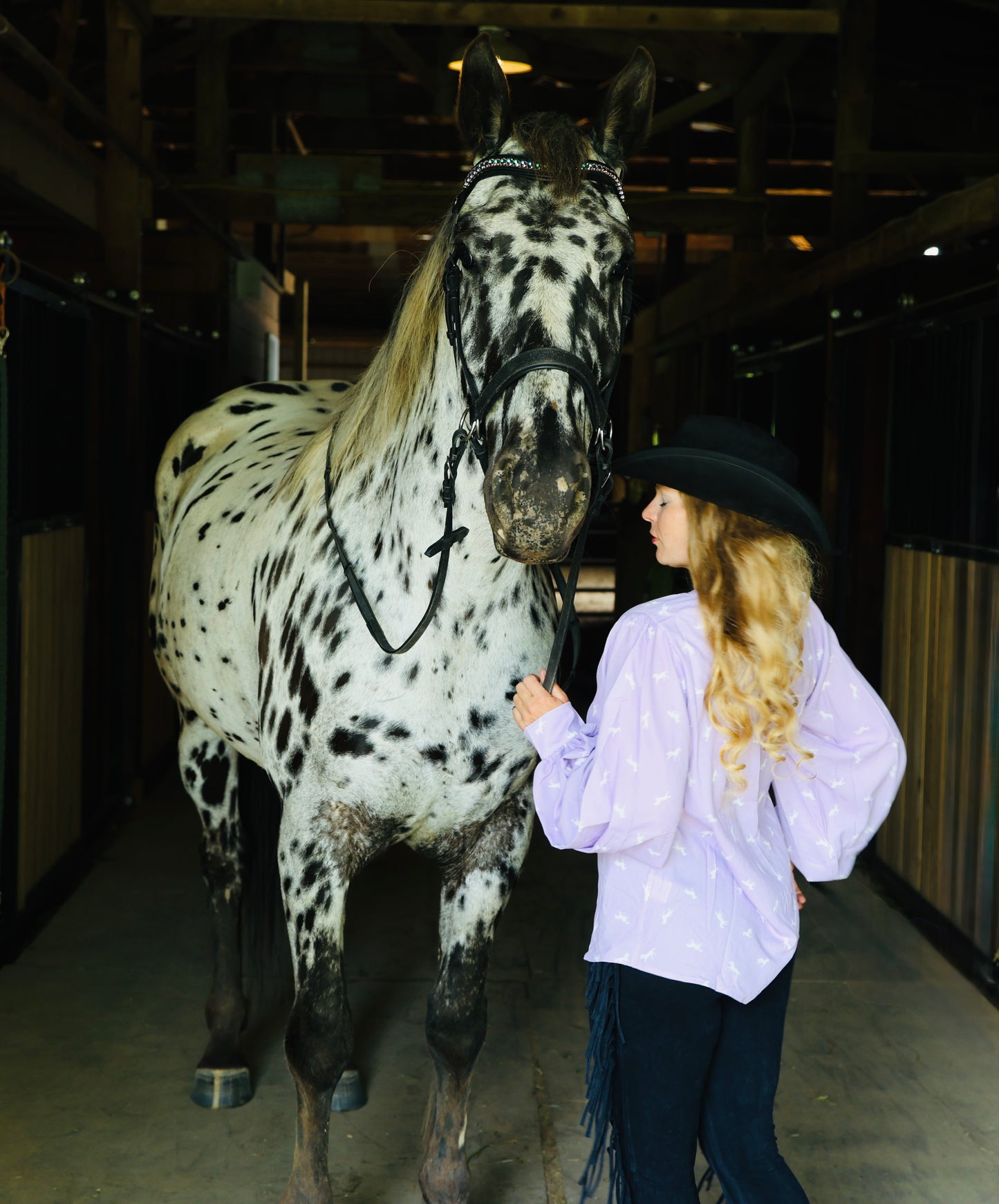Purple Pony Posh Blouse