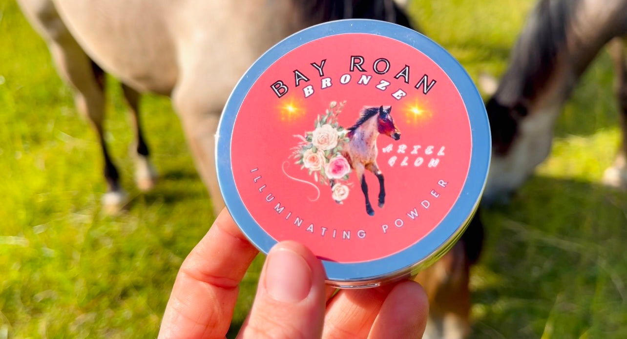 Bay Roan Bronzer-Special Order