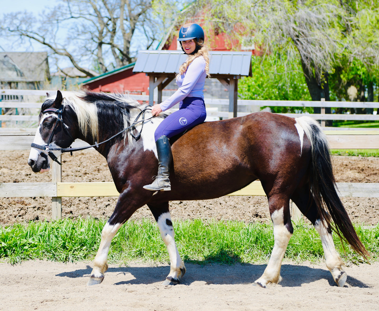 Violet Luxe-Riding Tights