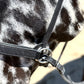 Wanderlust Bitless Bridle