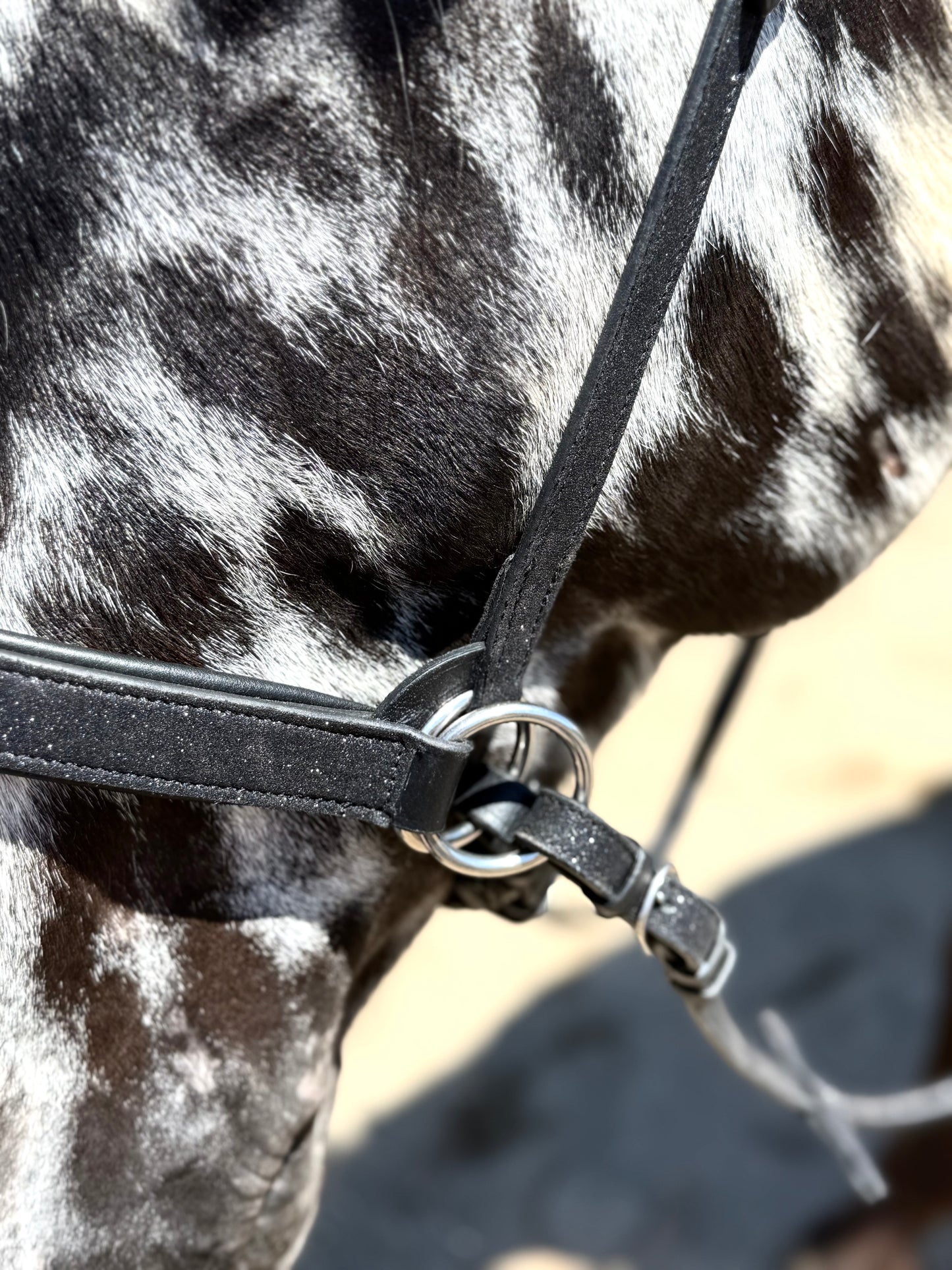 Wanderlust Bitless Bridle