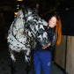 Sunny in the Saddle-Blush