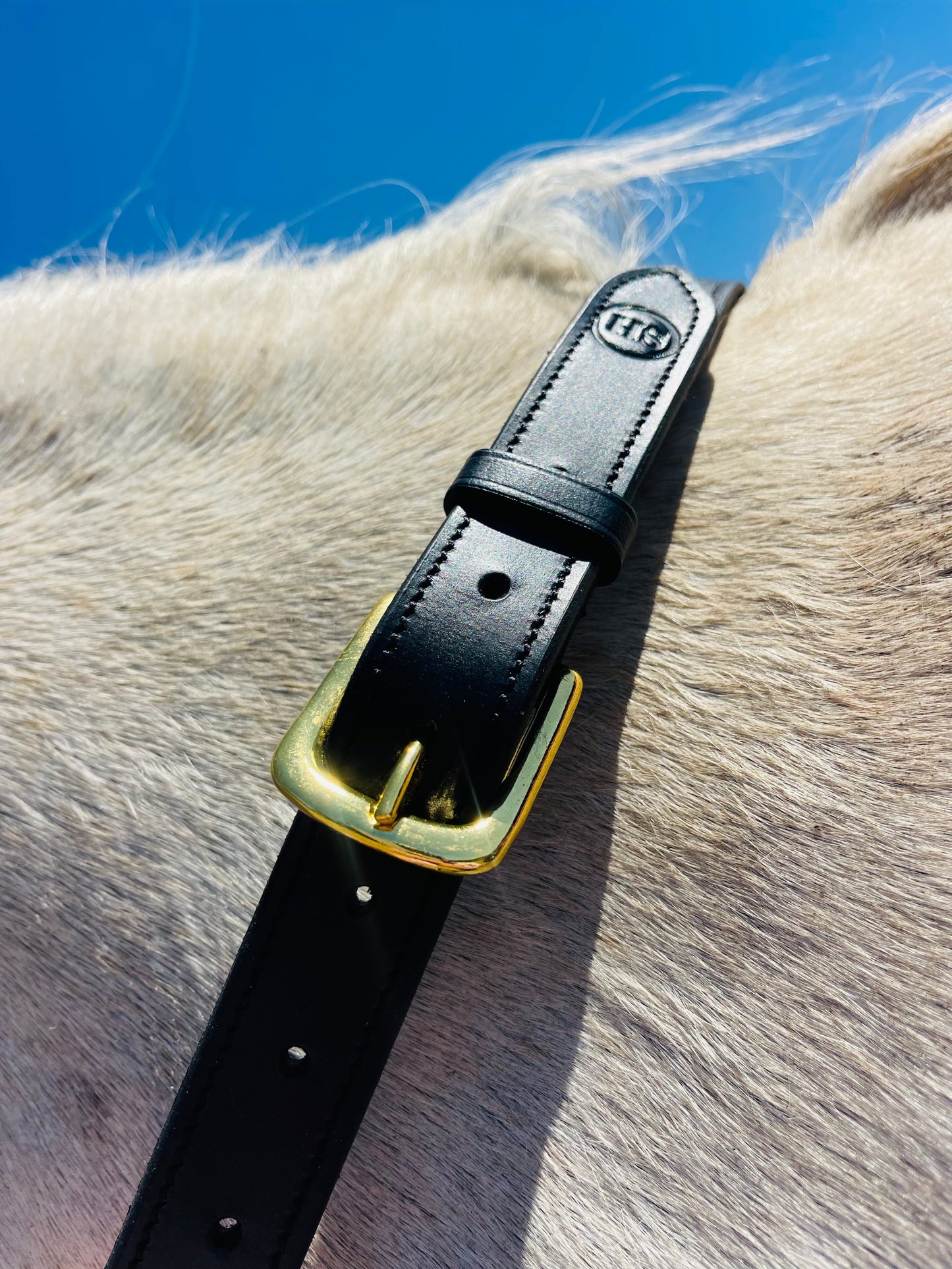 Bridleless Neck Rope