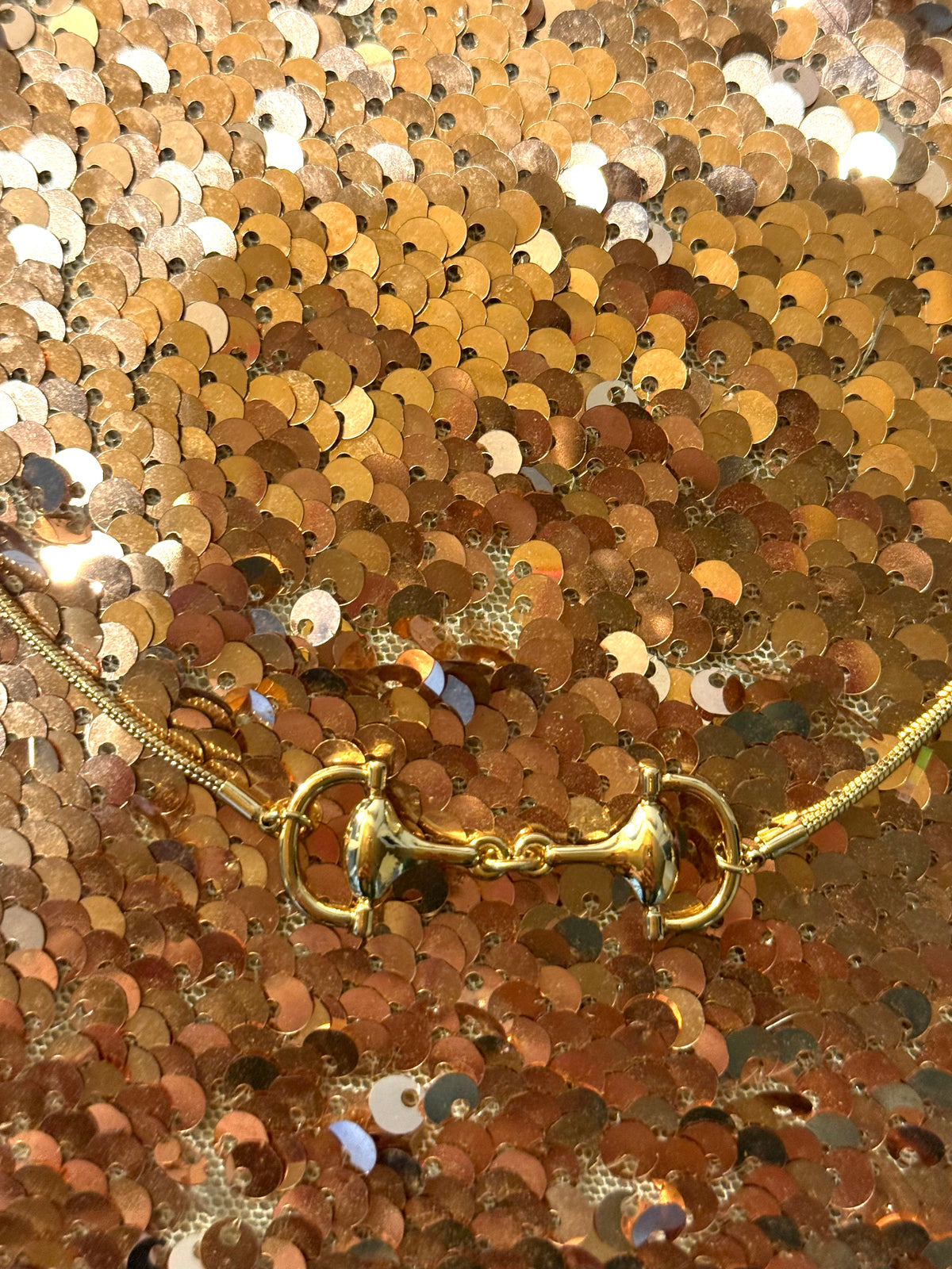 Snaffle of Gold Necklace